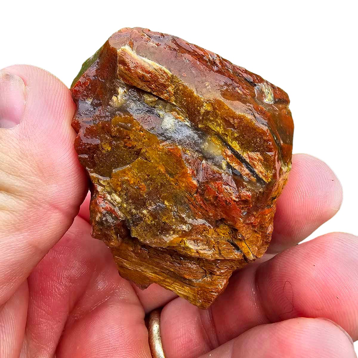 Old Stock Carey Plume Agate Rough Chunk!