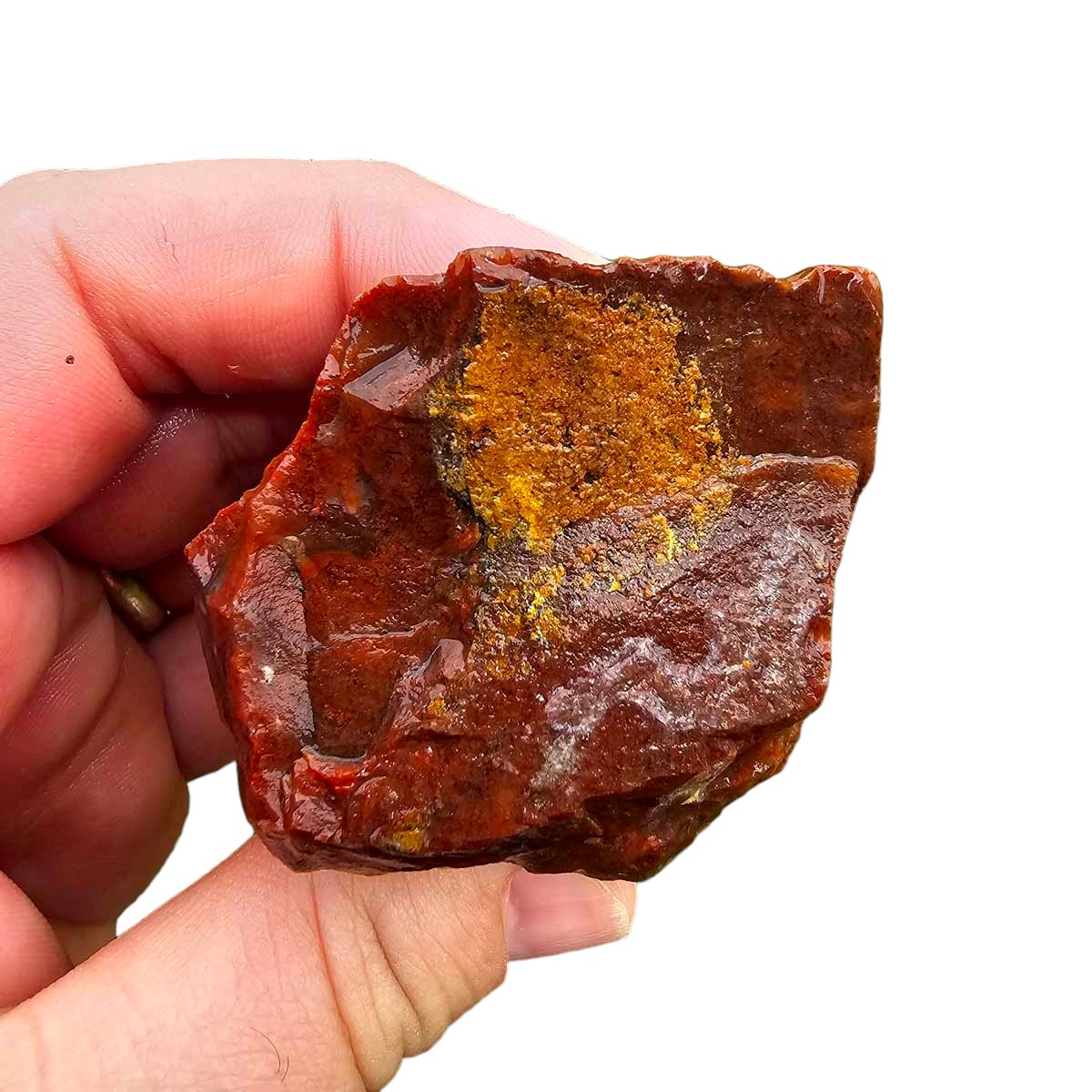 Old Stock Carey Plume Agate Rough Chunk!