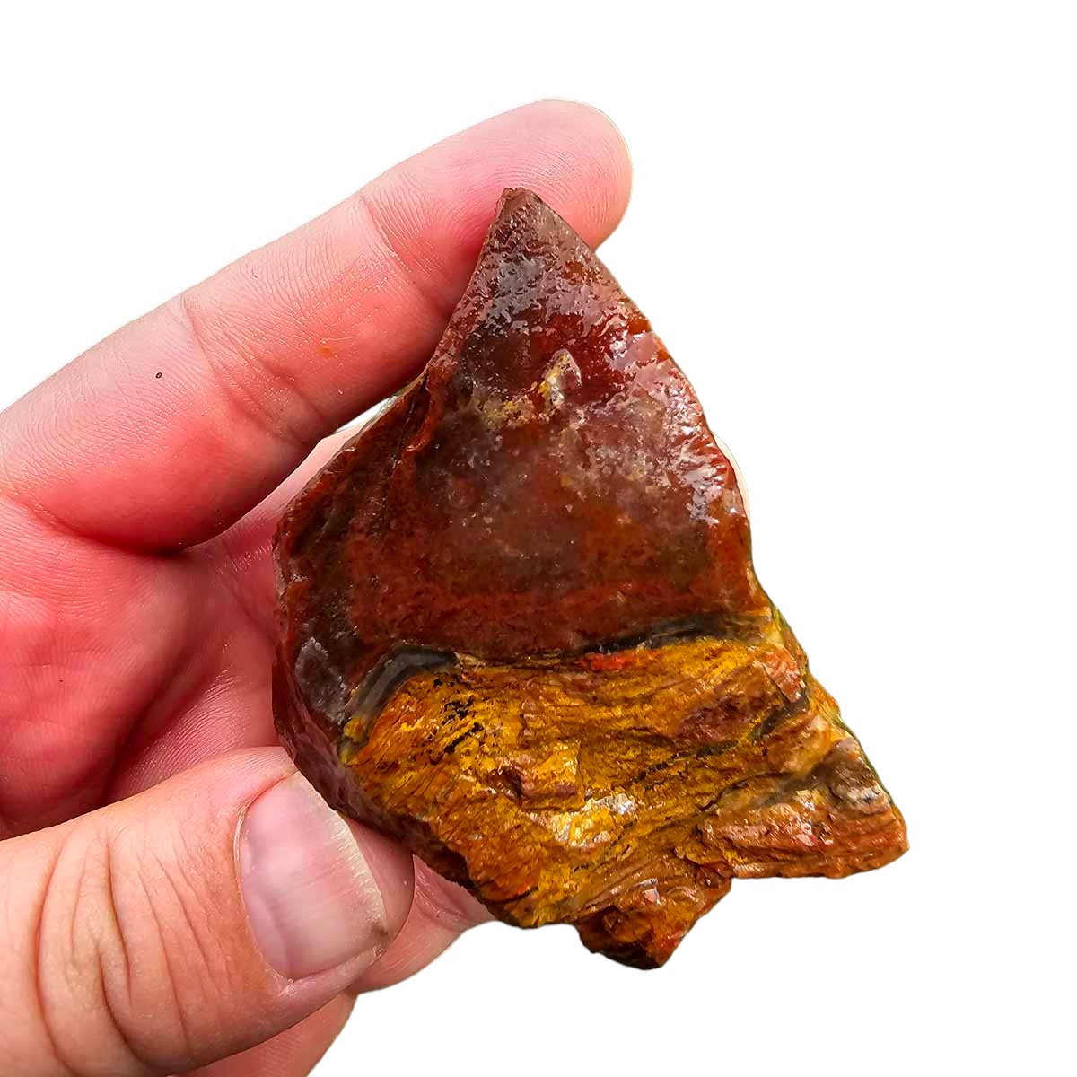 Old Stock Carey Plume Agate Rough Chunk!