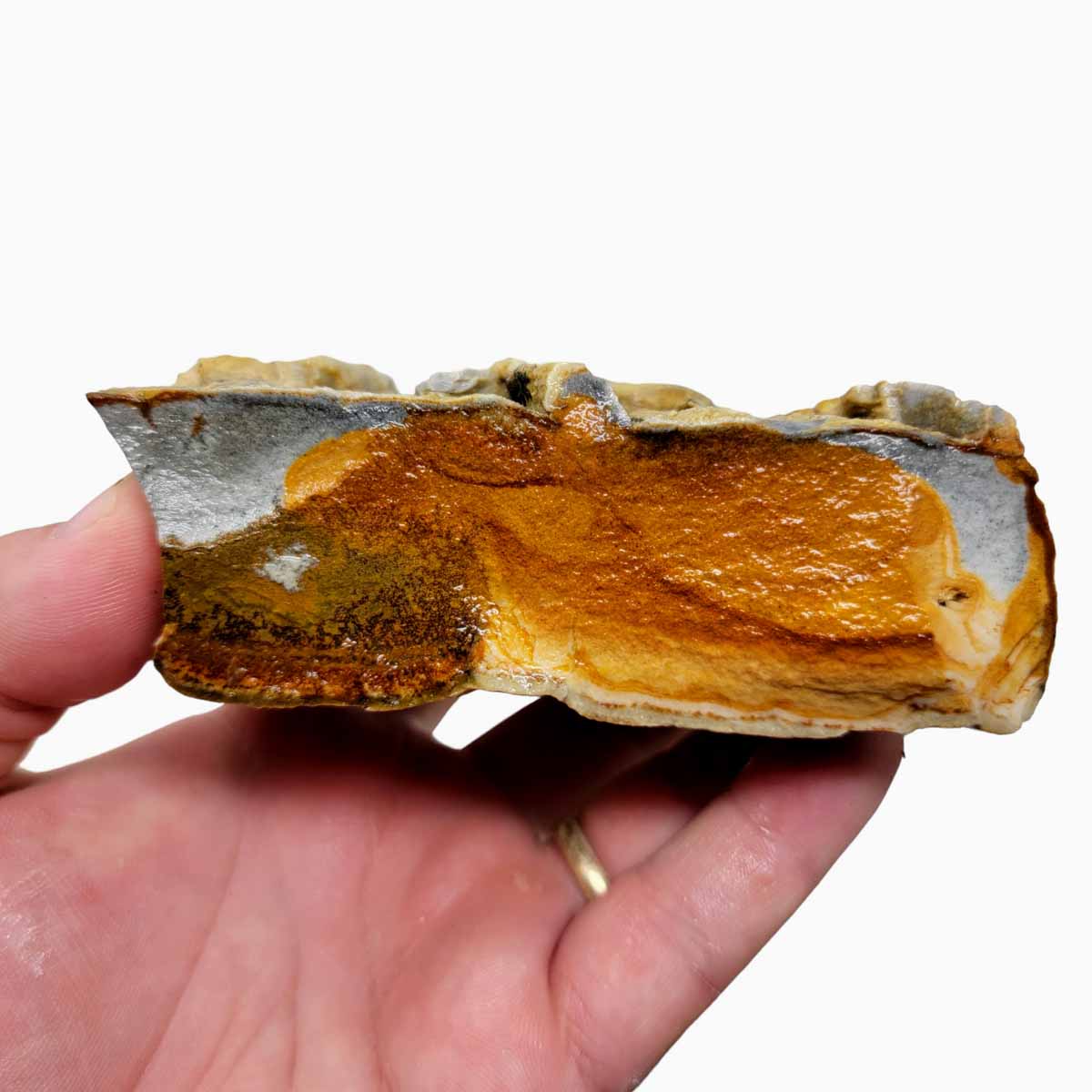 Chicken Track Picture Jasper Rough Chunk!