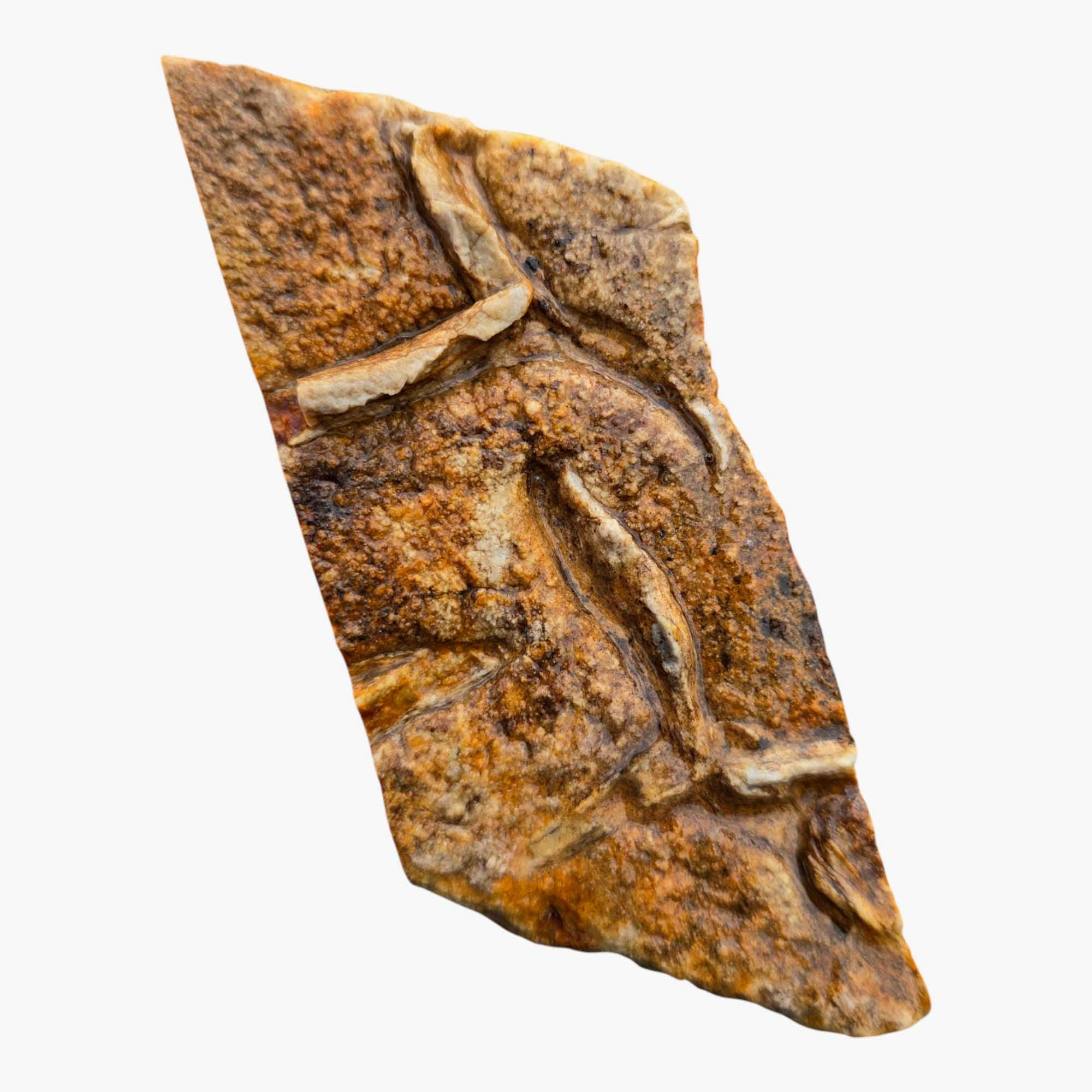 Chicken Track Picture Jasper Lapidary Cutting Rough Chunk Stone Cut Face