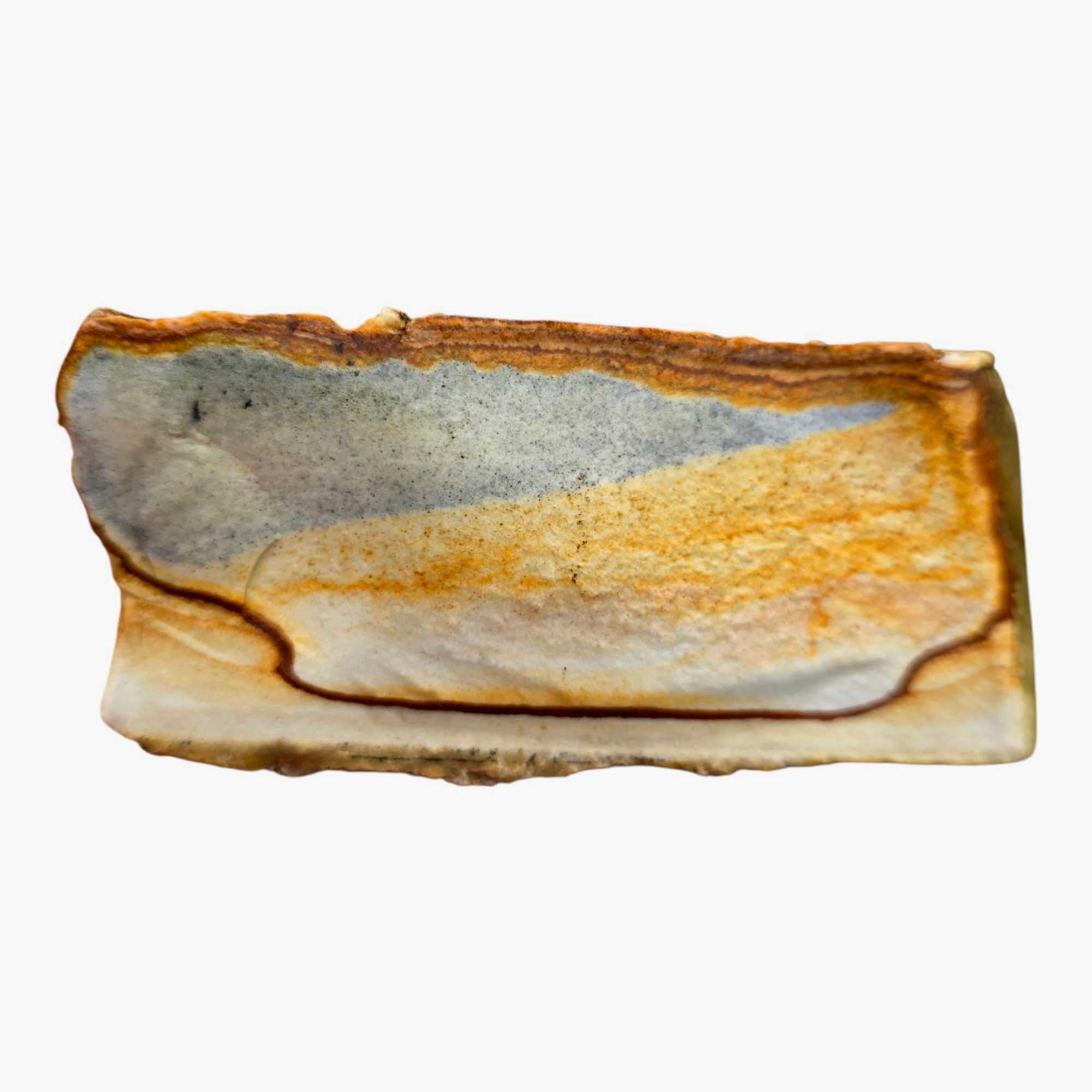 Chicken Track Picture Jasper Lapidary Cutting Rough Chunk Stone Cut Face