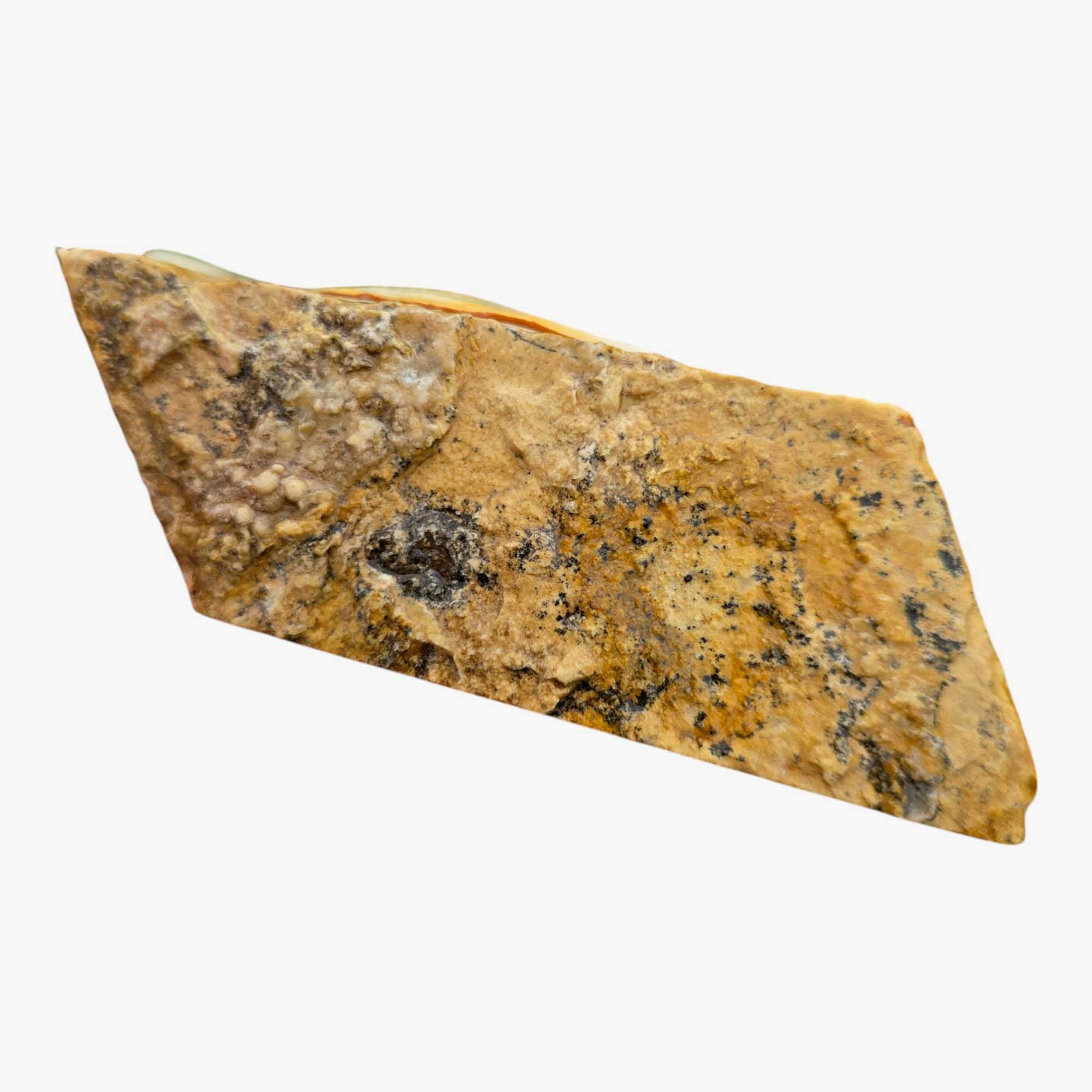 Chicken Track Picture Jasper Lapidary Cutting Rough Chunk Stone Cut Face