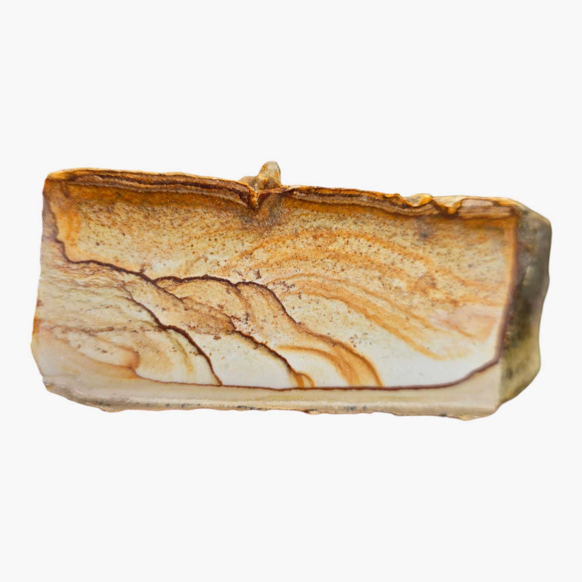 Chicken Track Picture Jasper Lapidary Cutting Rough Chunk Stone Cut Face