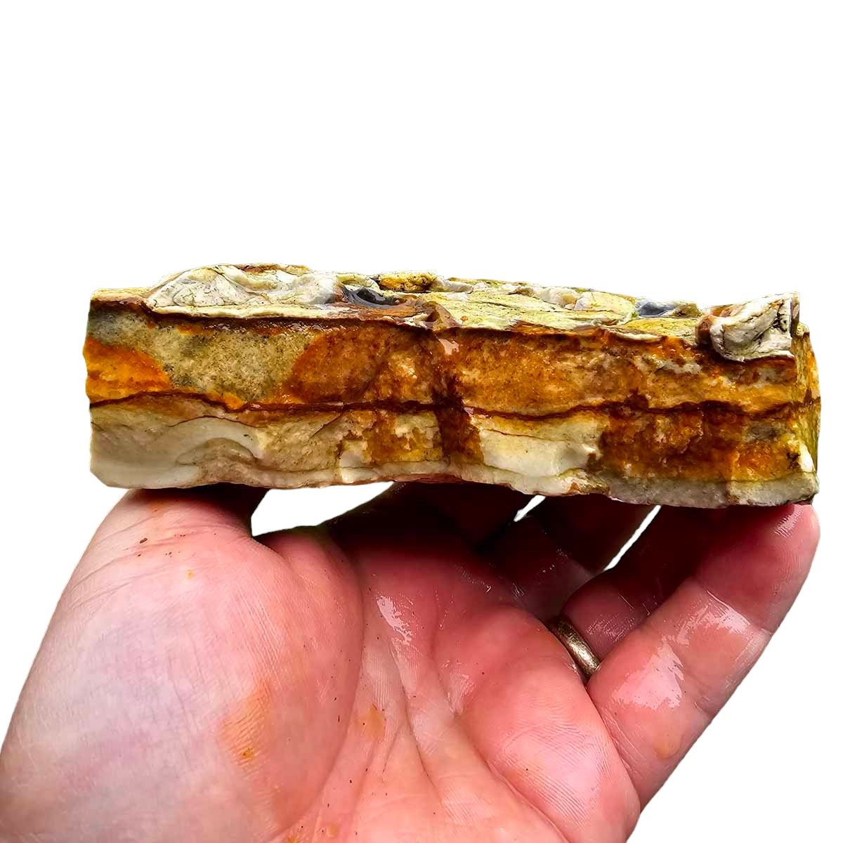 Chicken Track Picture Jasper Rough Chunk!