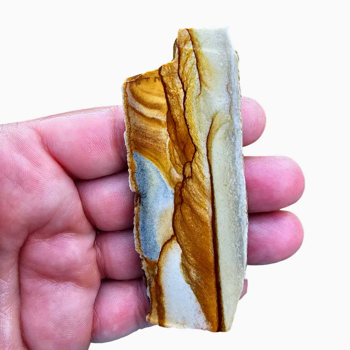 Chicken Track Jasper Slab  Lapidary Stone Slab