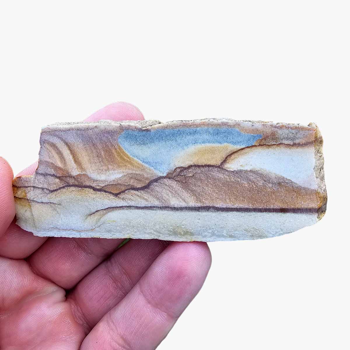 Chicken Track Jasper Slab  Lapidary Stone Slab