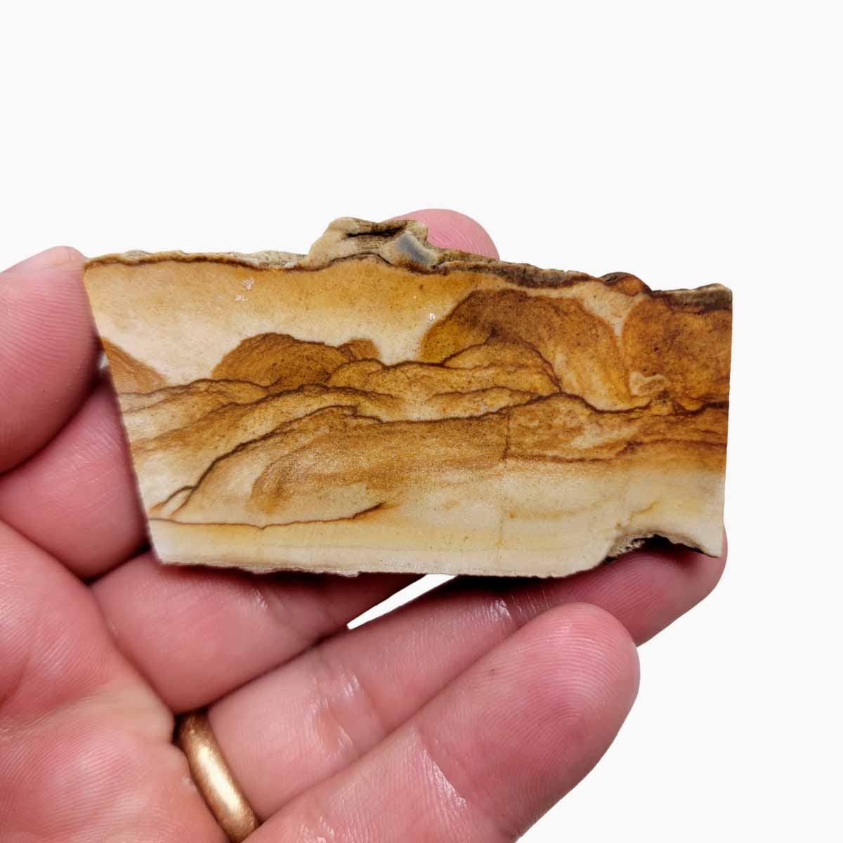 Chicken Track Jasper Slab!  Lapidary Stone Slab!