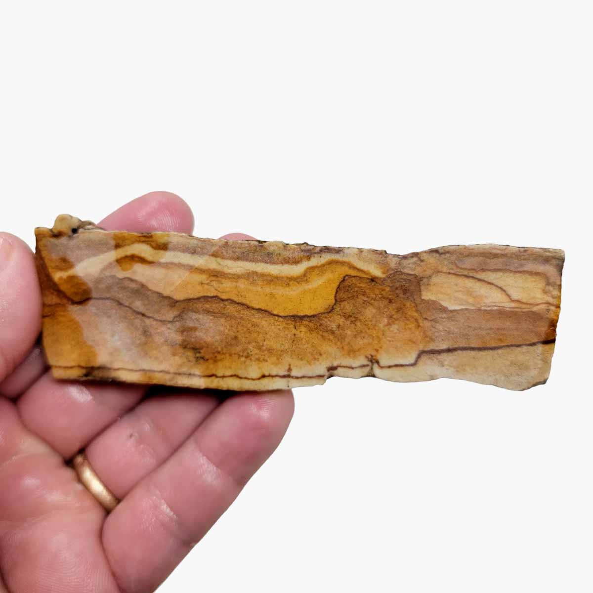 Chicken Track Jasper Slab!  Lapidary Stone Slab!