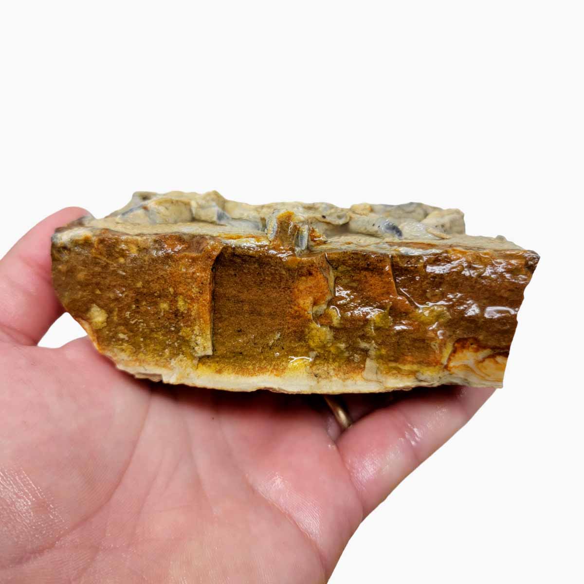 Chicken Track Picture Jasper Rough Chunk!