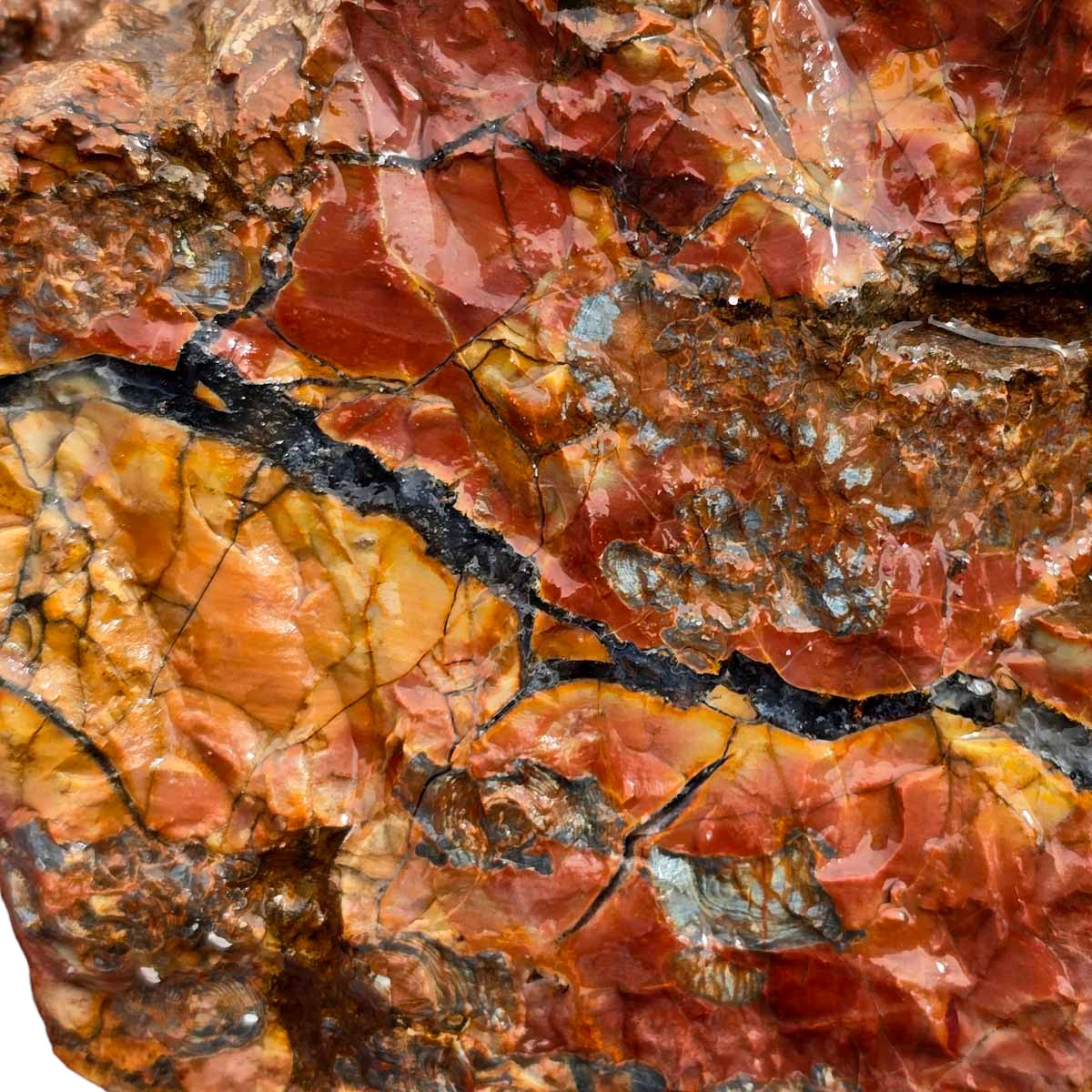 Cold Mountain Thunderegg Rough Chunk!