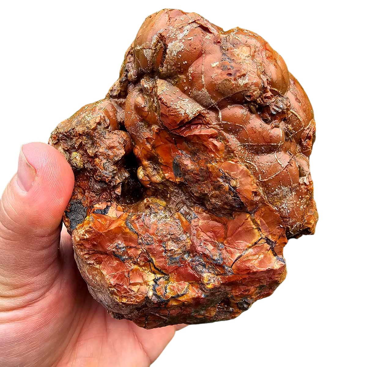 Cold Mountain Thunderegg Rough Chunk!