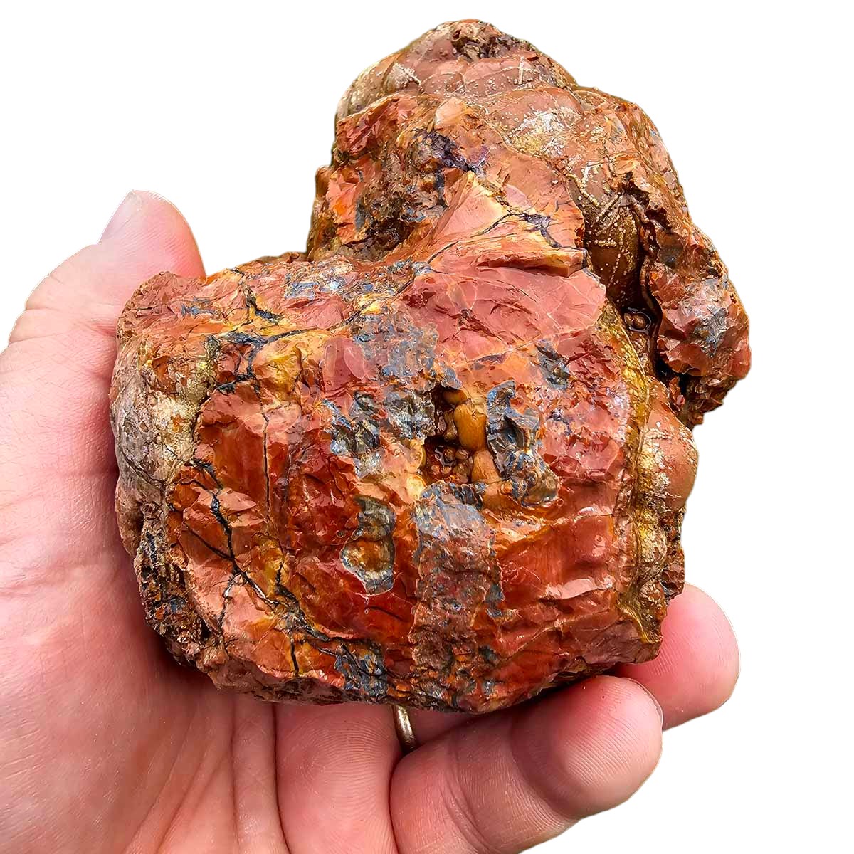 Cold Mountain Thunderegg Rough Chunk!