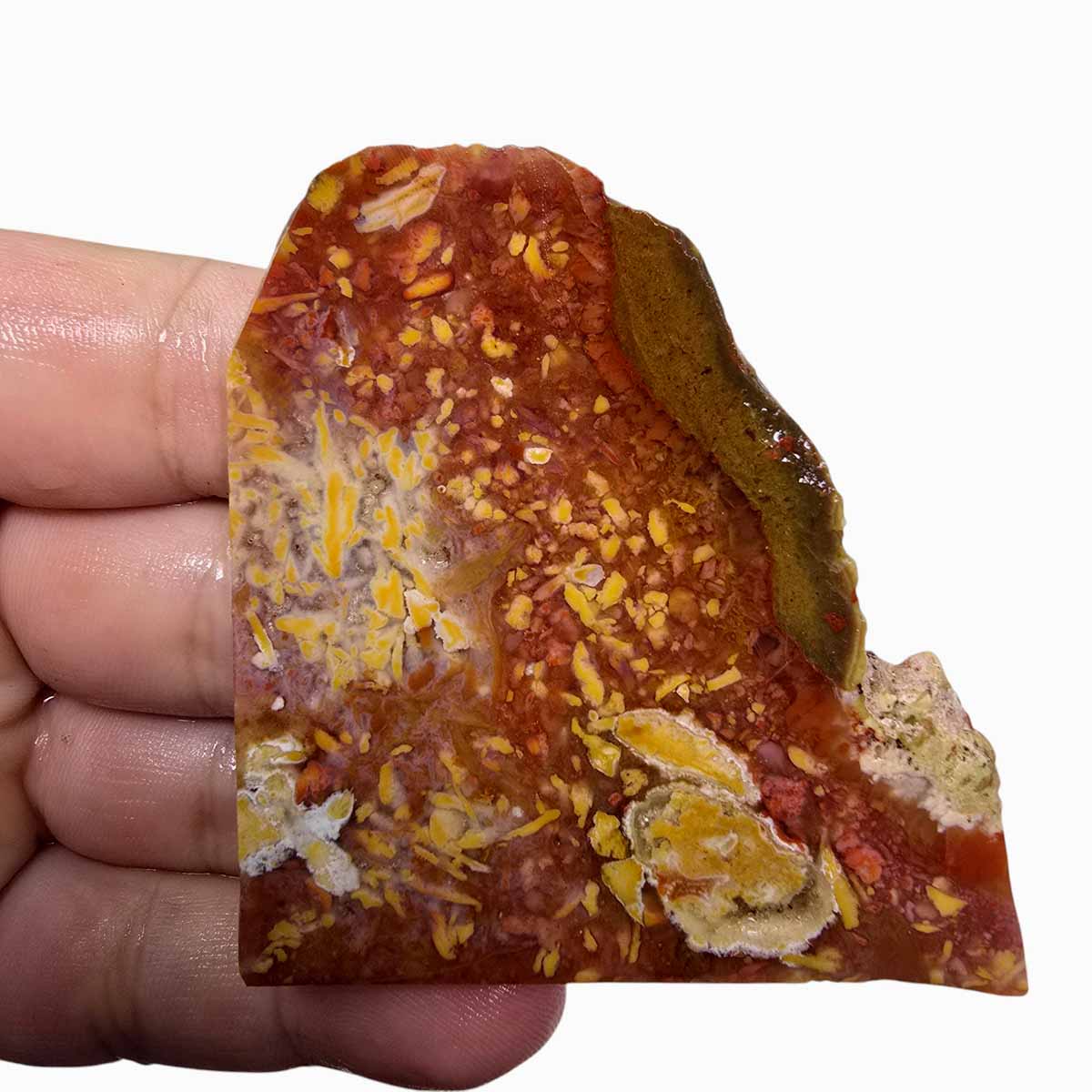 Confetti Agate Slab Lapidary Stone Slice Cut Rock