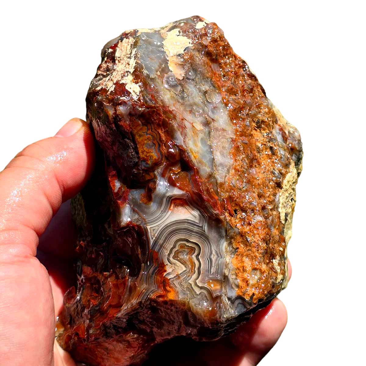 Crazy Lace Agate Lapidary Rough Chunk!