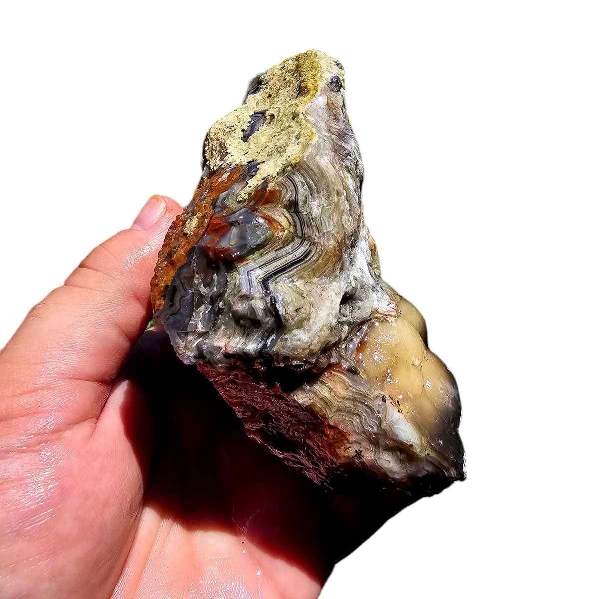 Crazy Lace Agate Lapidary Rough Chunk!