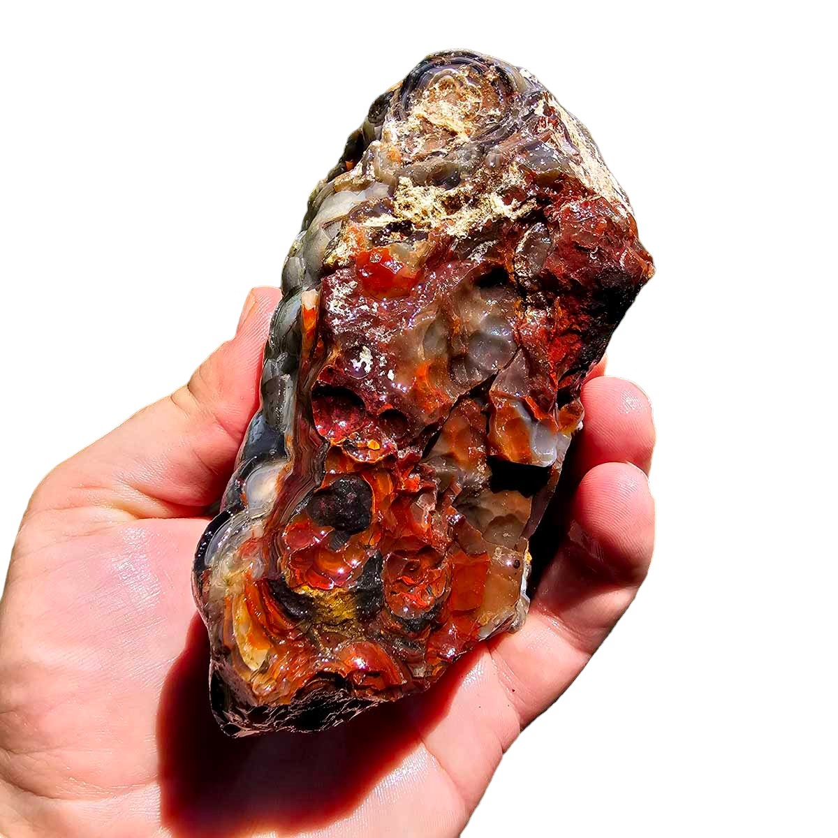 Crazy Lace Agate Lapidary Rough Chunk!