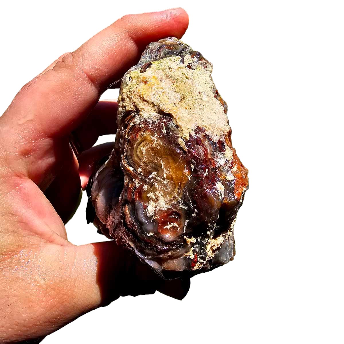 Crazy Lace Agate Lapidary Rough Chunk!