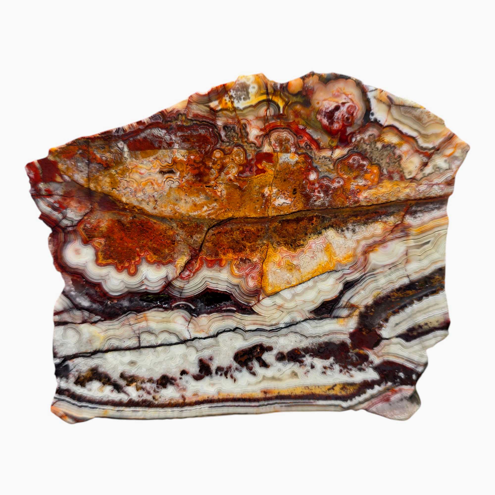 Crazy Lace Agate Slab Lapidary Stone Slice Cut Rock