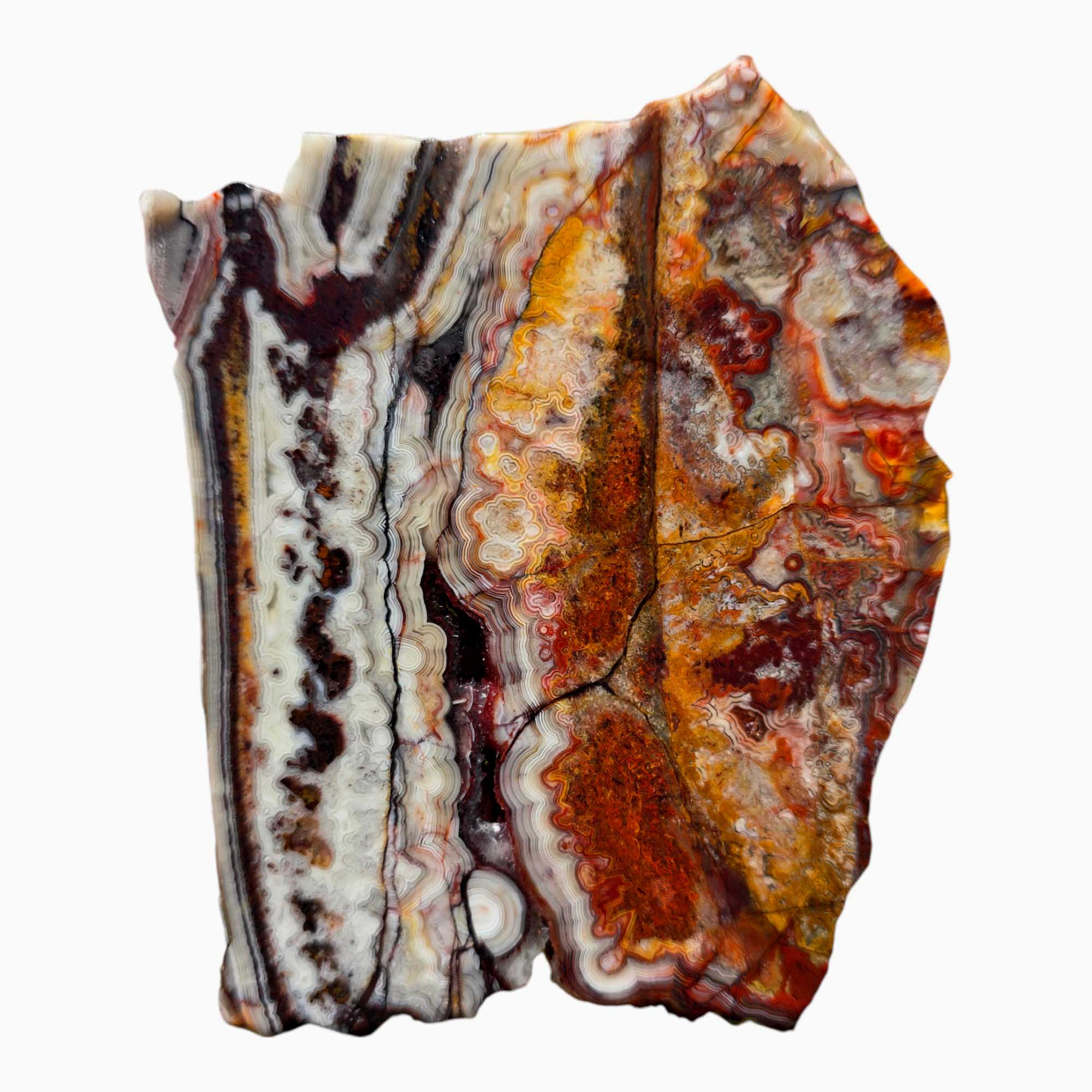 Crazy Lace Agate Slab Lapidary Stone Slice Cut Rock