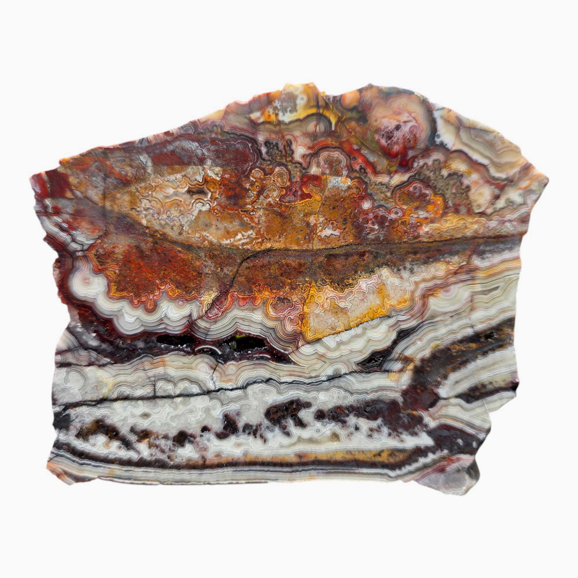 Crazy Lace Agate Slab Lapidary Stone Slice Cut Rock