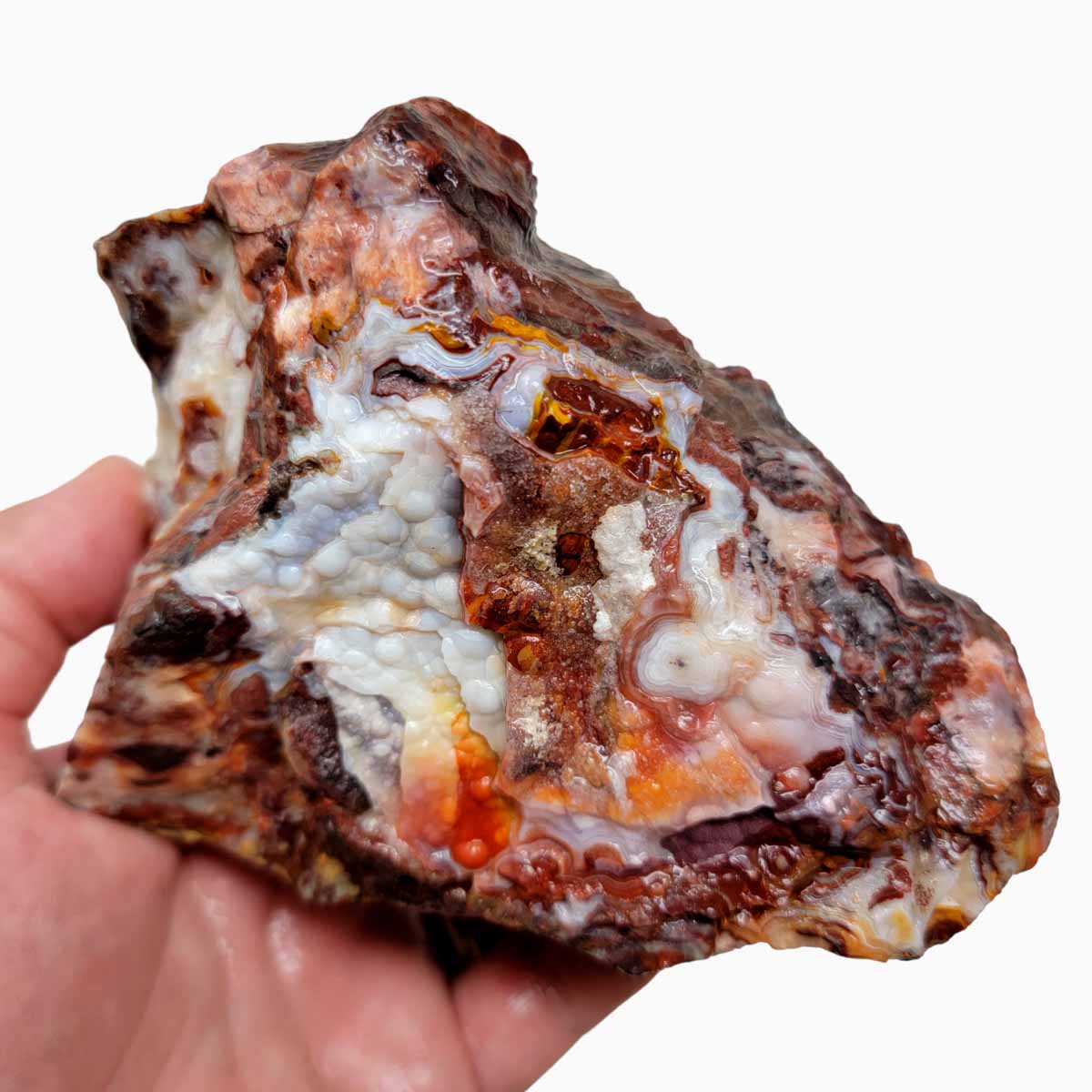 Crazy Lace Agate Lapidary Rough Chunk!