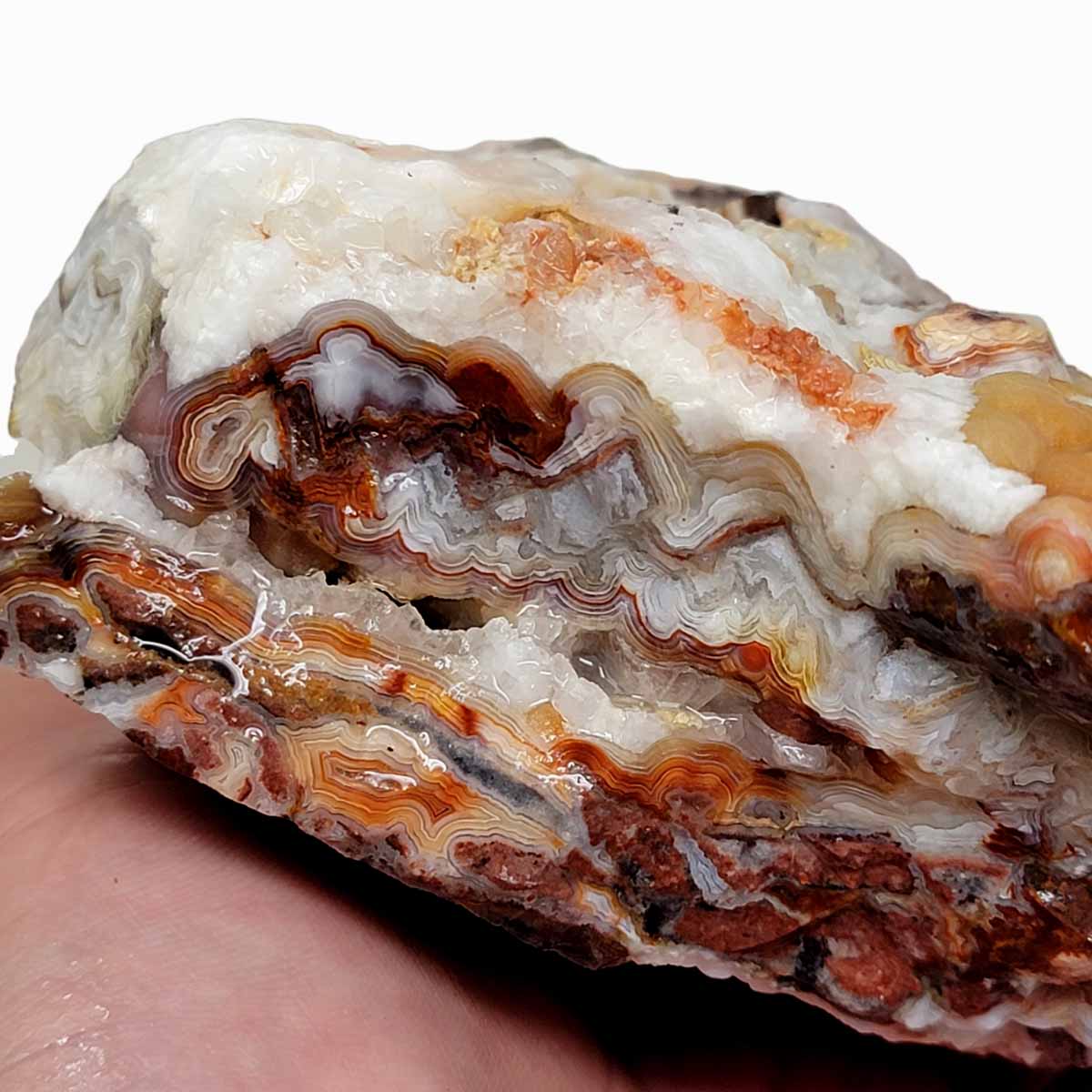 Crazy Lace Agate Lapidary Rough Chunk!