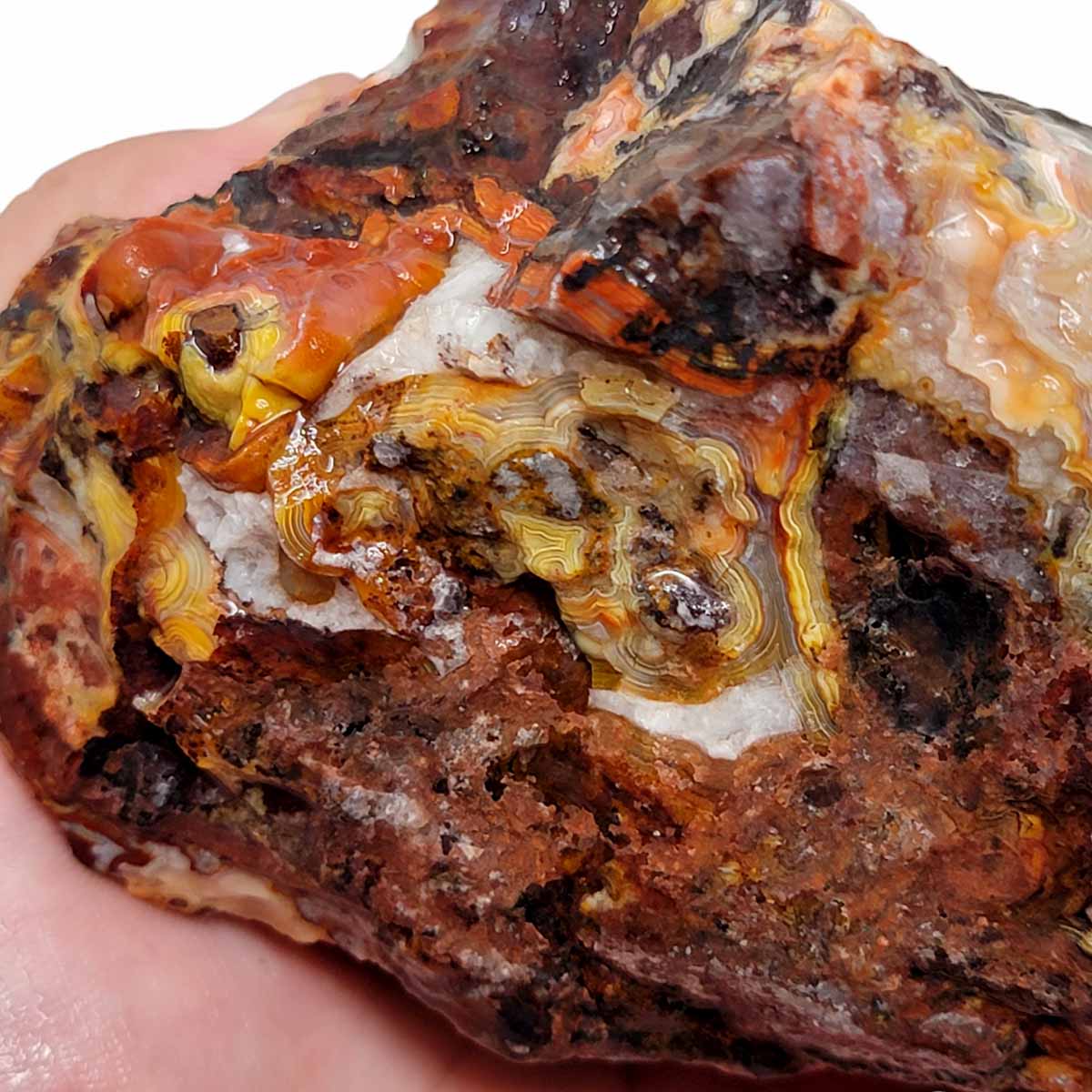 Crazy Lace Agate Lapidary Rough Chunk!