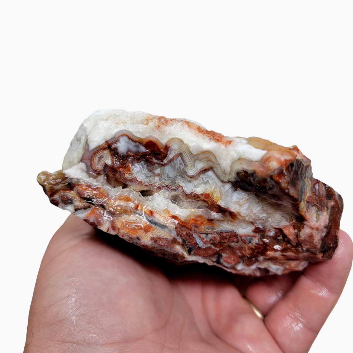 Crazy Lace Agate Lapidary Rough Chunk!