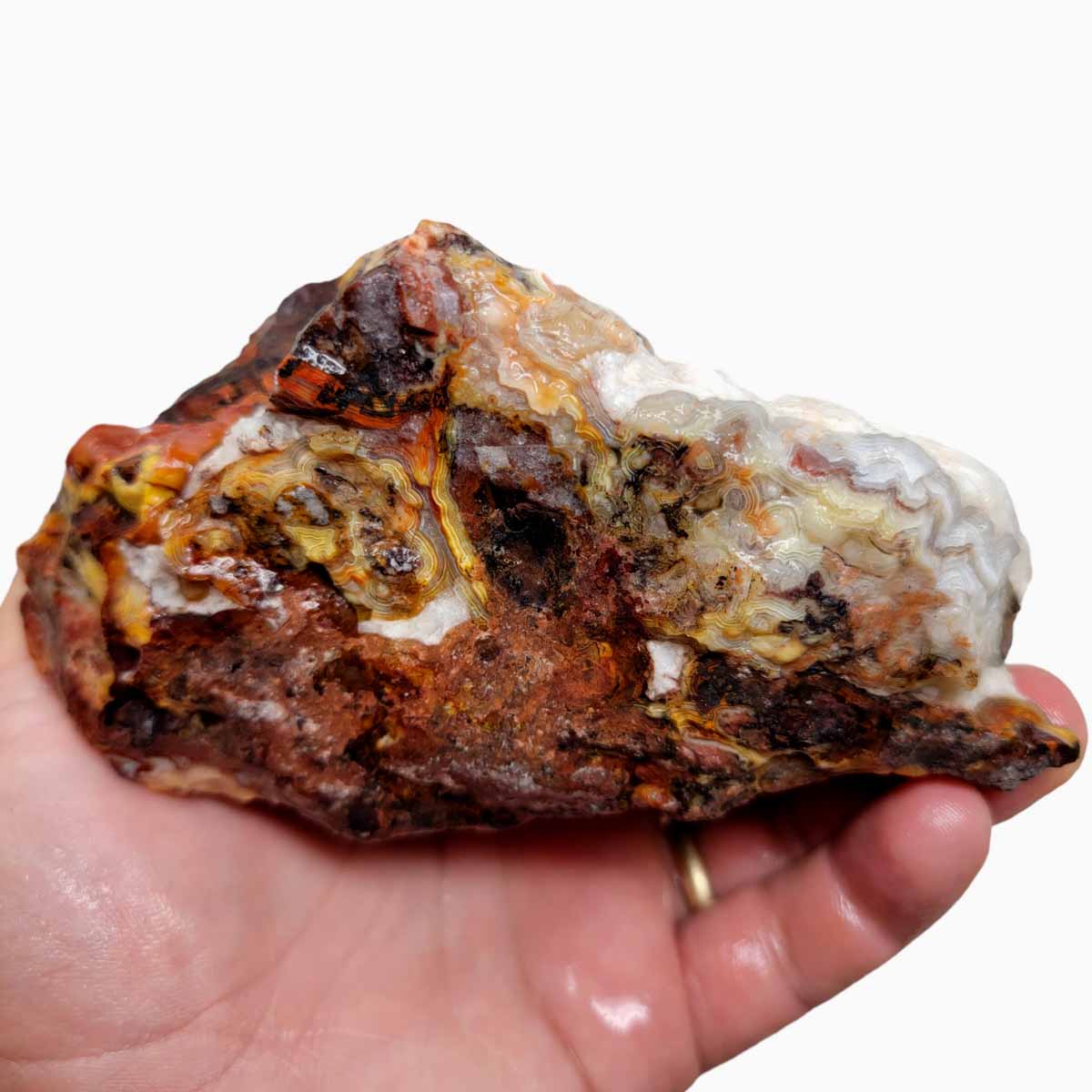 Crazy Lace Agate Lapidary Rough Chunk!