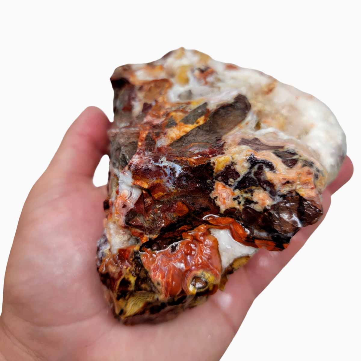 Crazy Lace Agate Lapidary Rough Chunk!