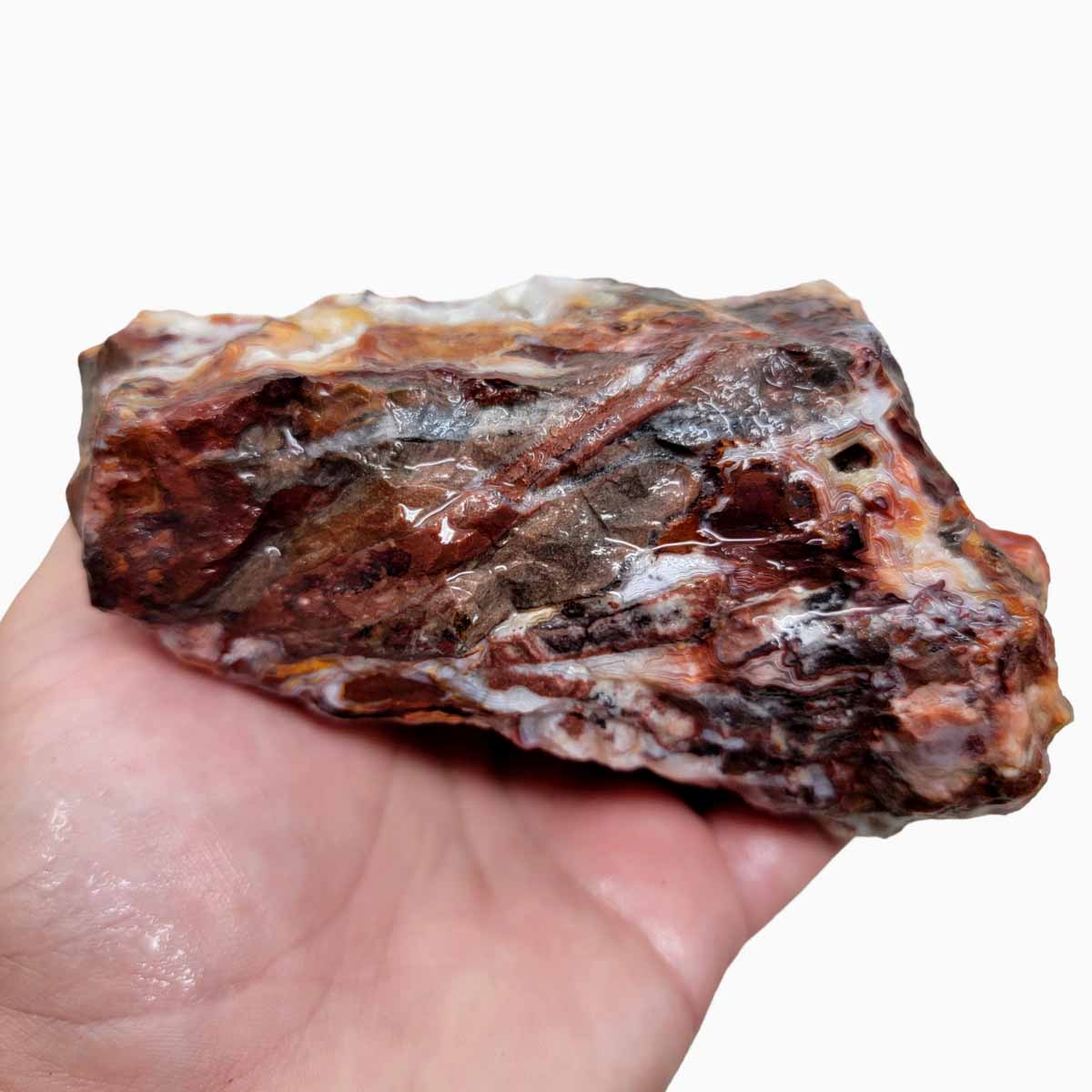 Crazy Lace Agate Lapidary Rough Chunk!