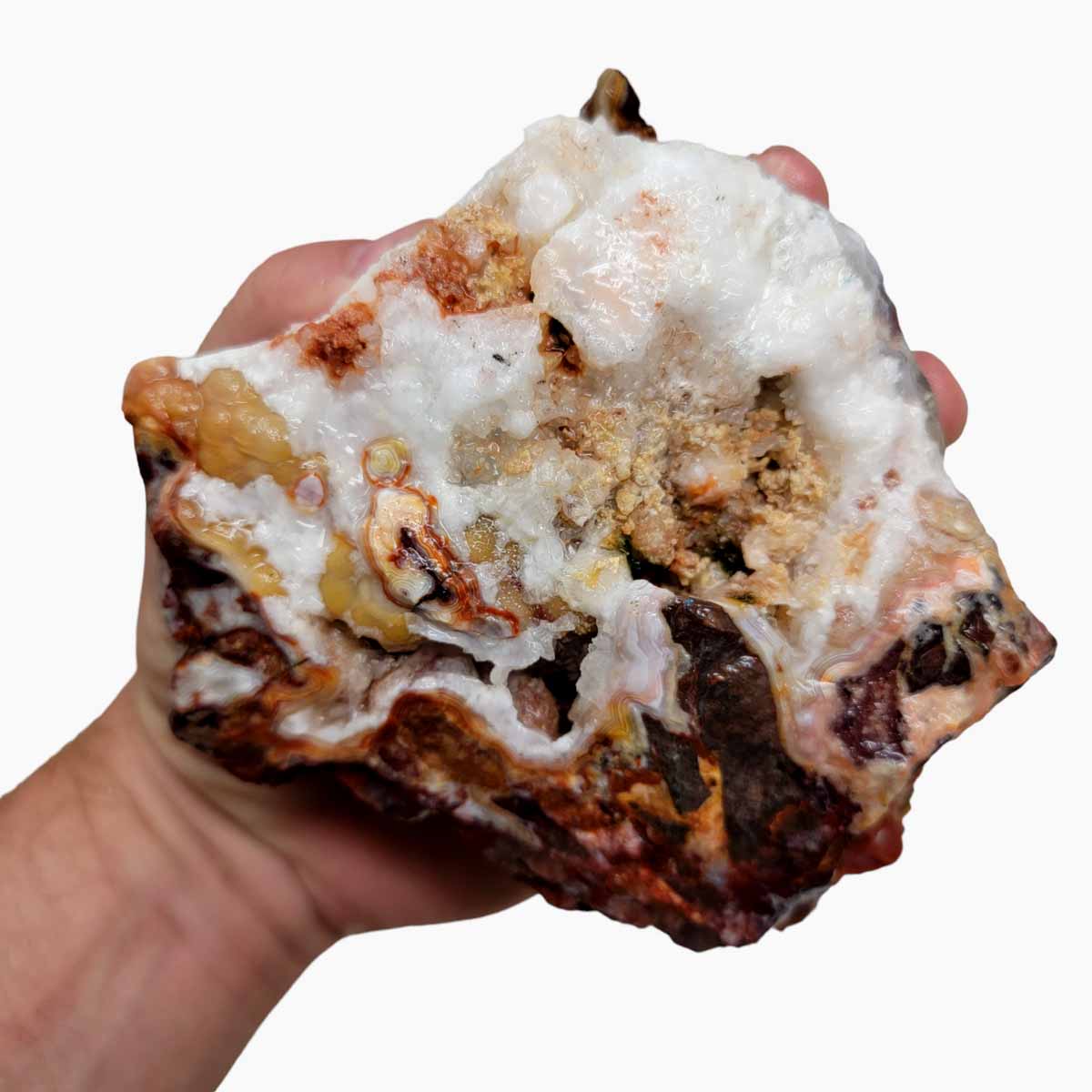 Crazy Lace Agate Lapidary Rough Chunk!