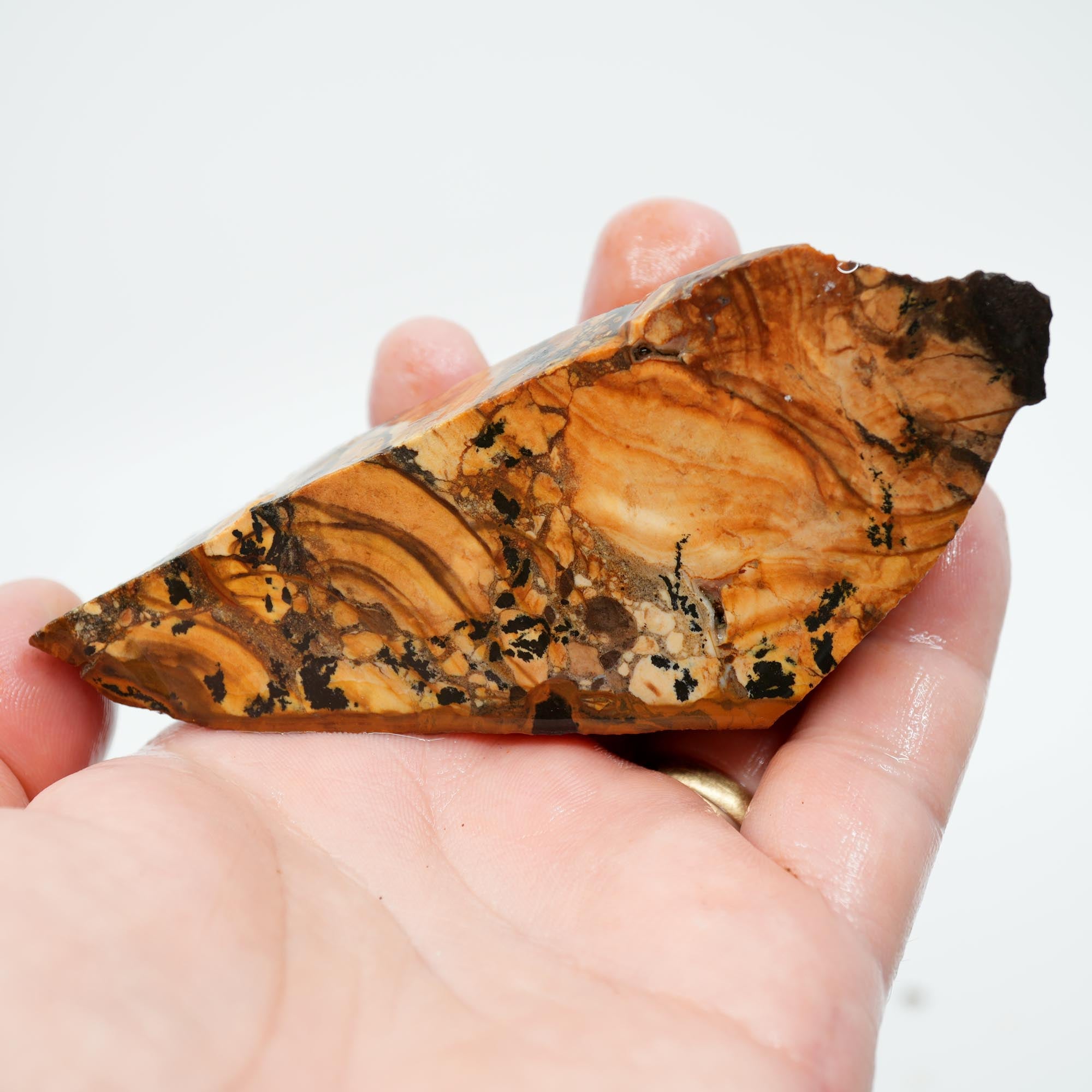 Biggs Blue Picture Jasper Endcut - Rolling Hills with Dendrites