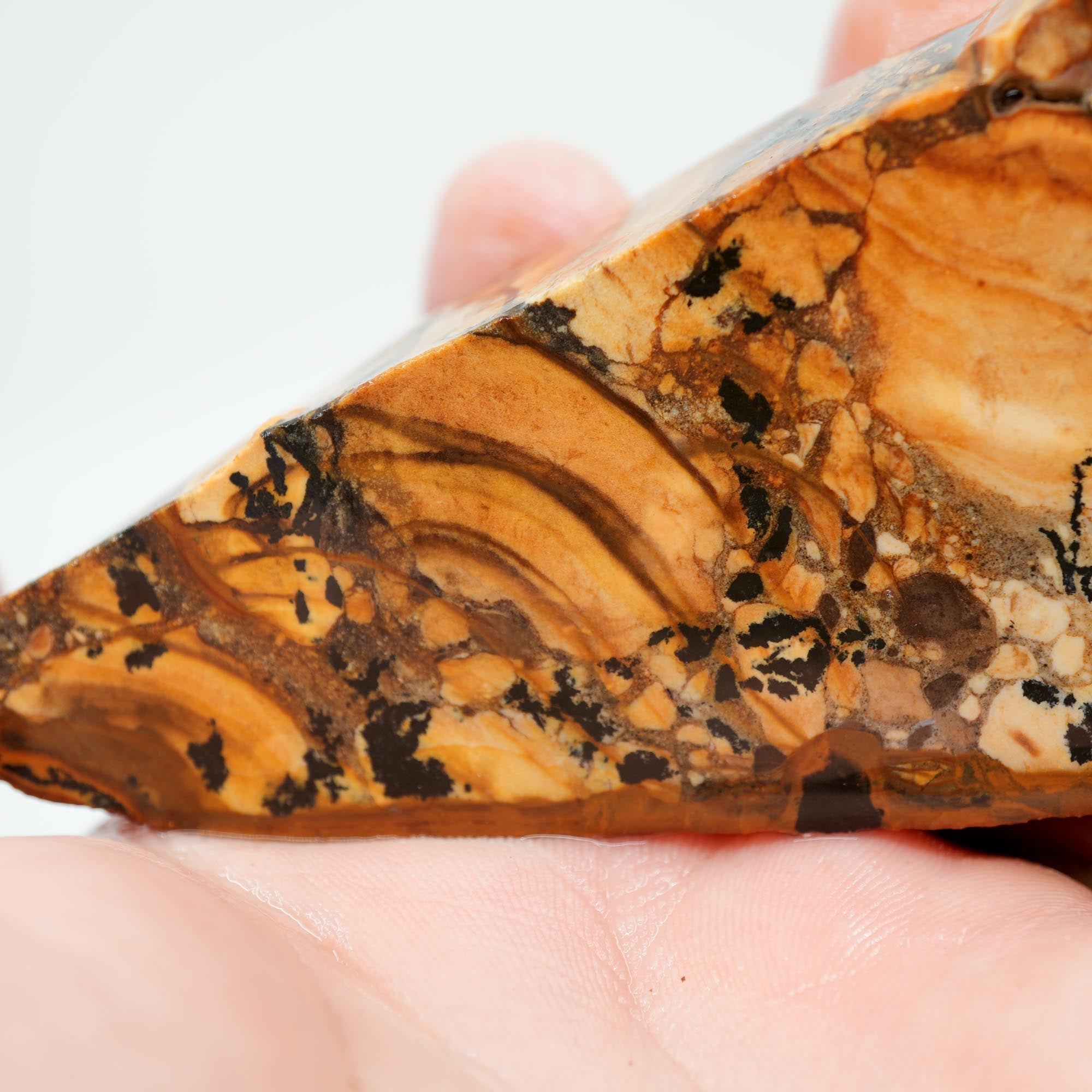 Biggs Blue Picture Jasper Endcut - Rolling Hills with Dendrites