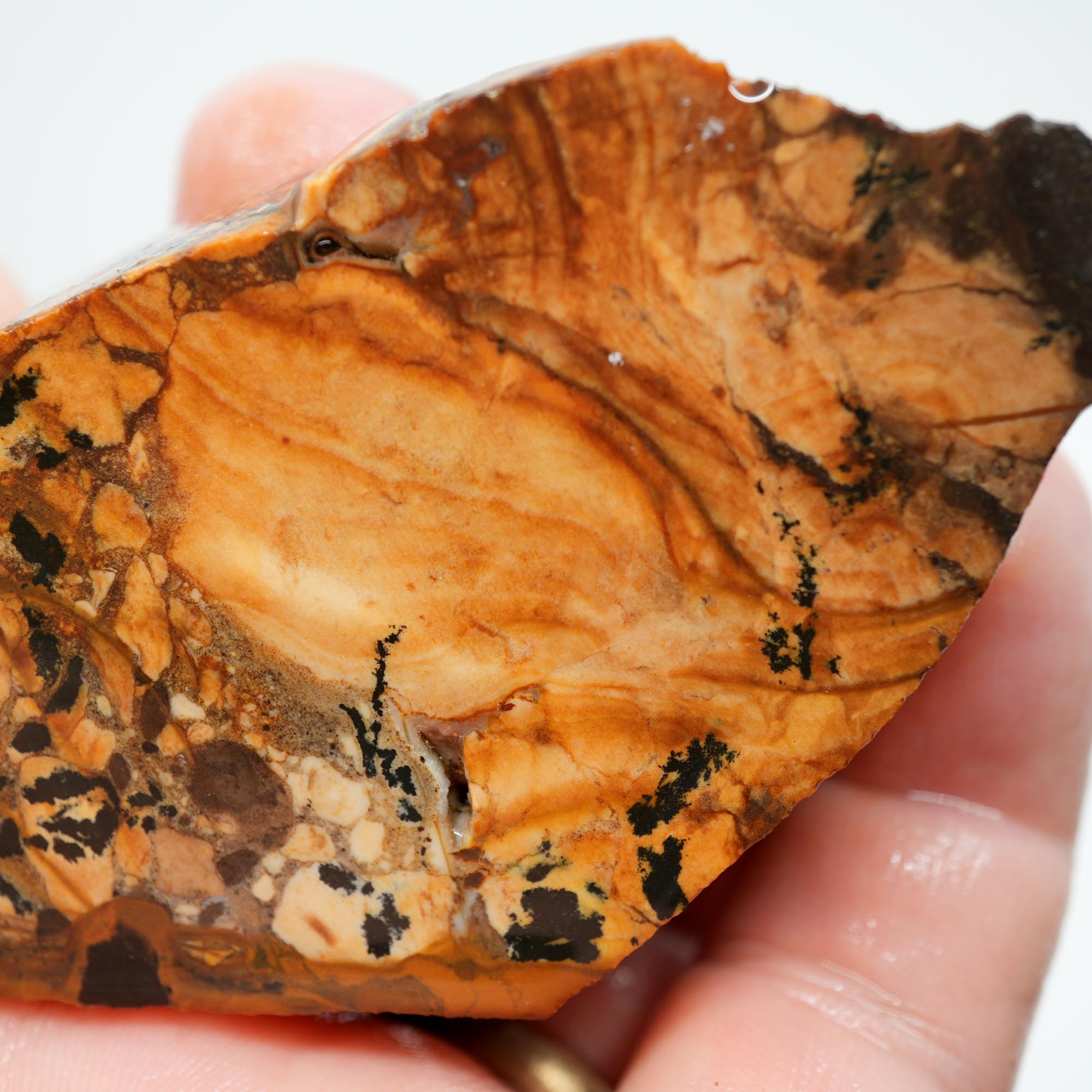 Biggs Blue Picture Jasper Endcut - Rolling Hills with Dendrites