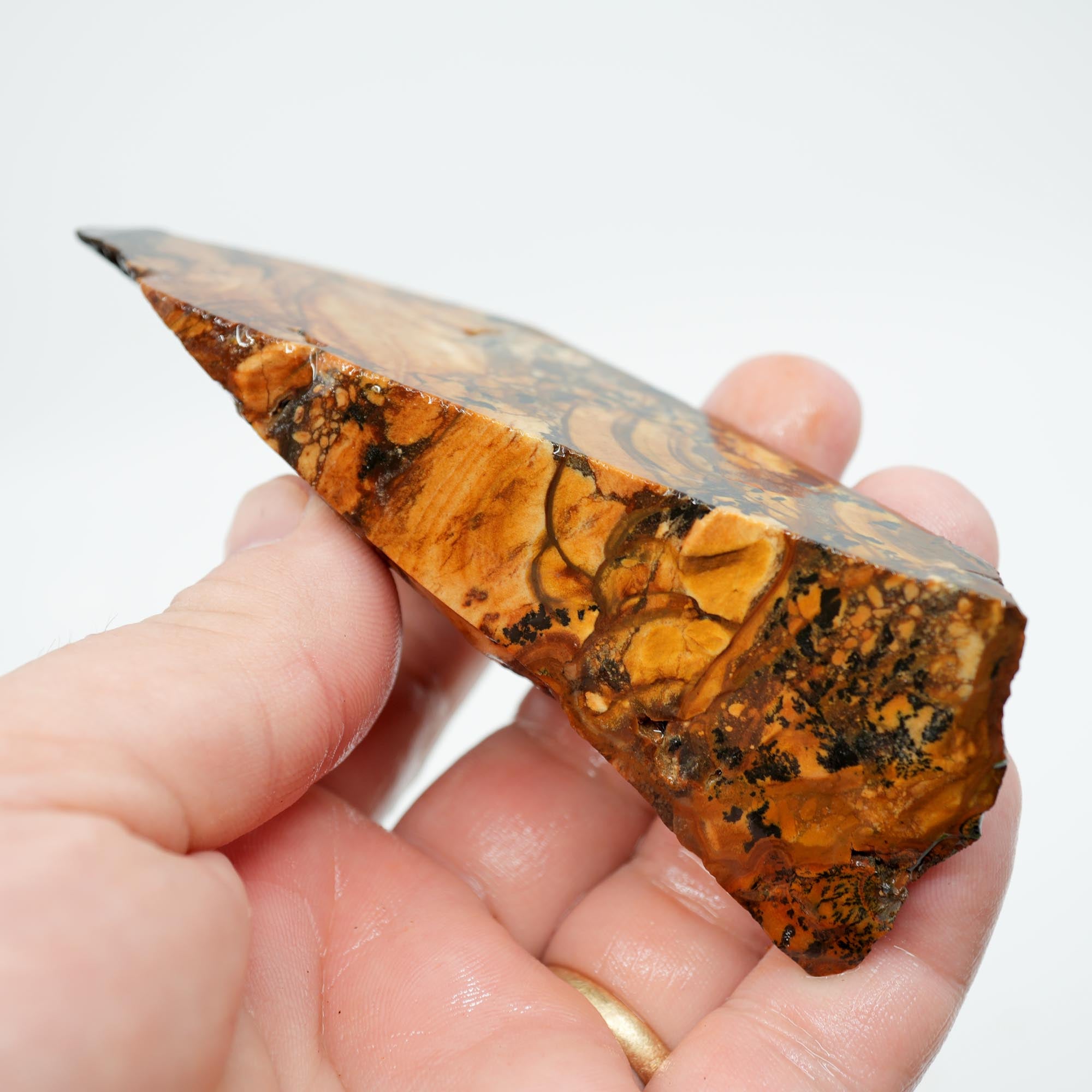 Biggs Blue Picture Jasper Endcut - Rolling Hills with Dendrites