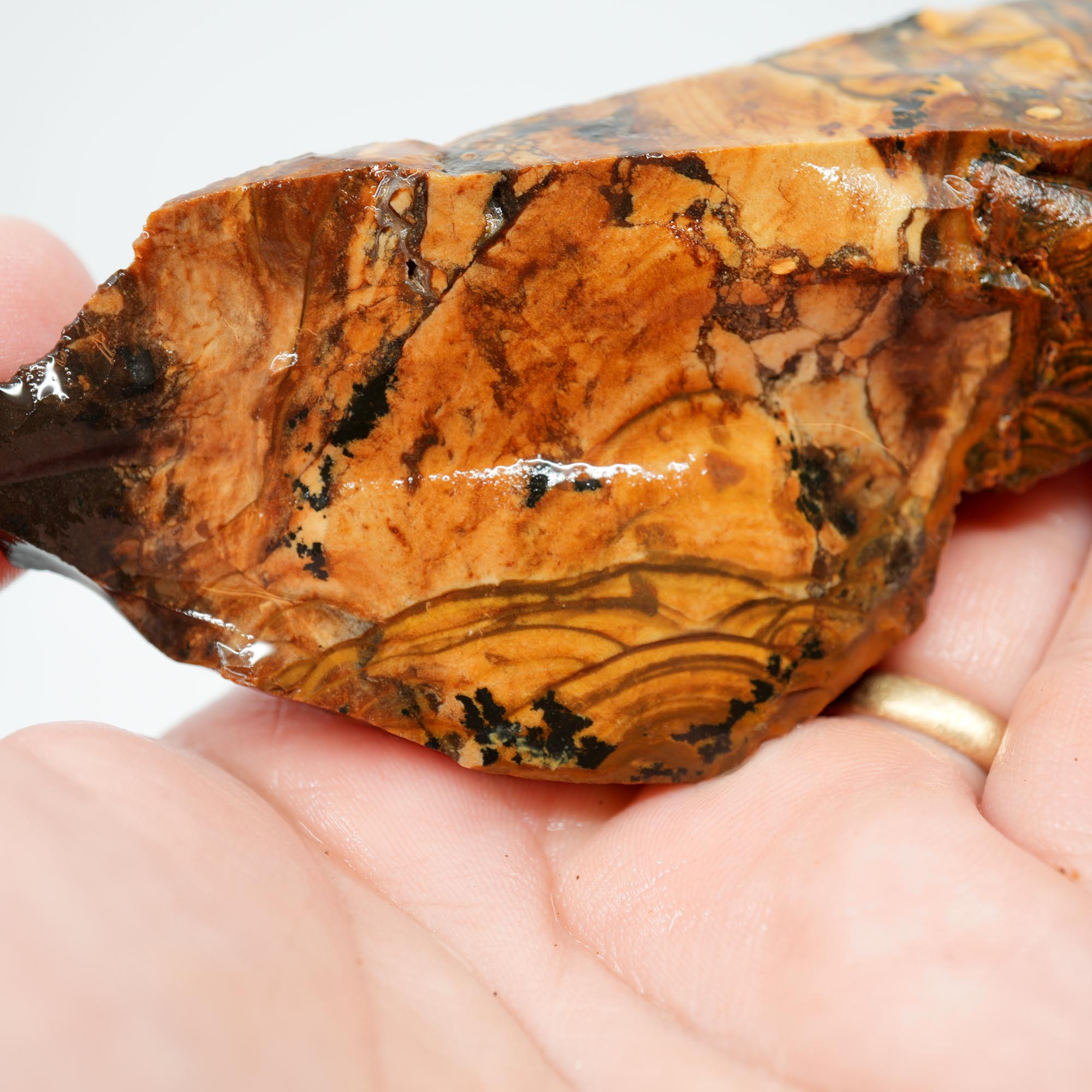 Biggs Blue Picture Jasper Endcut - Rolling Hills with Dendrites