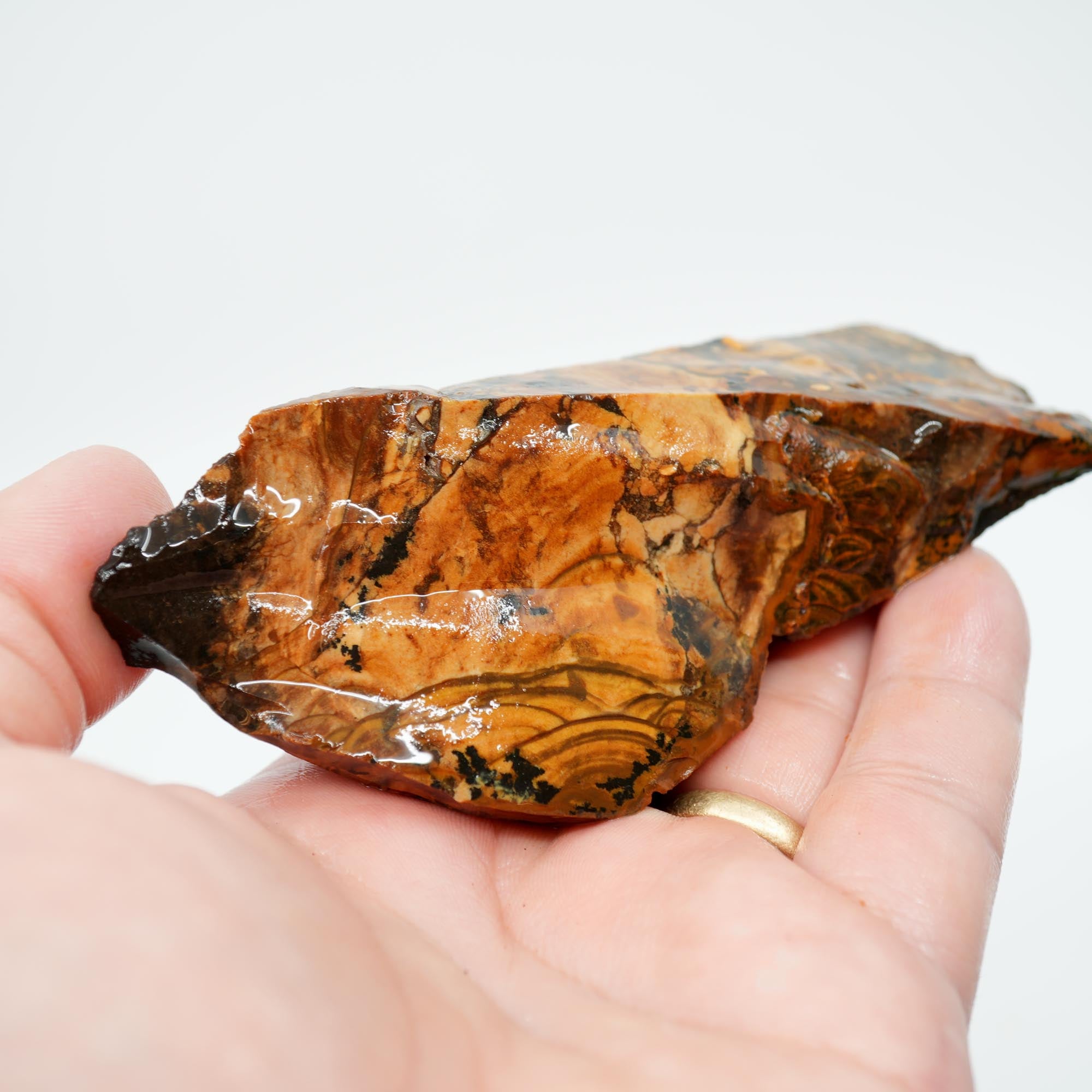 Biggs Blue Picture Jasper Endcut - Rolling Hills with Dendrites