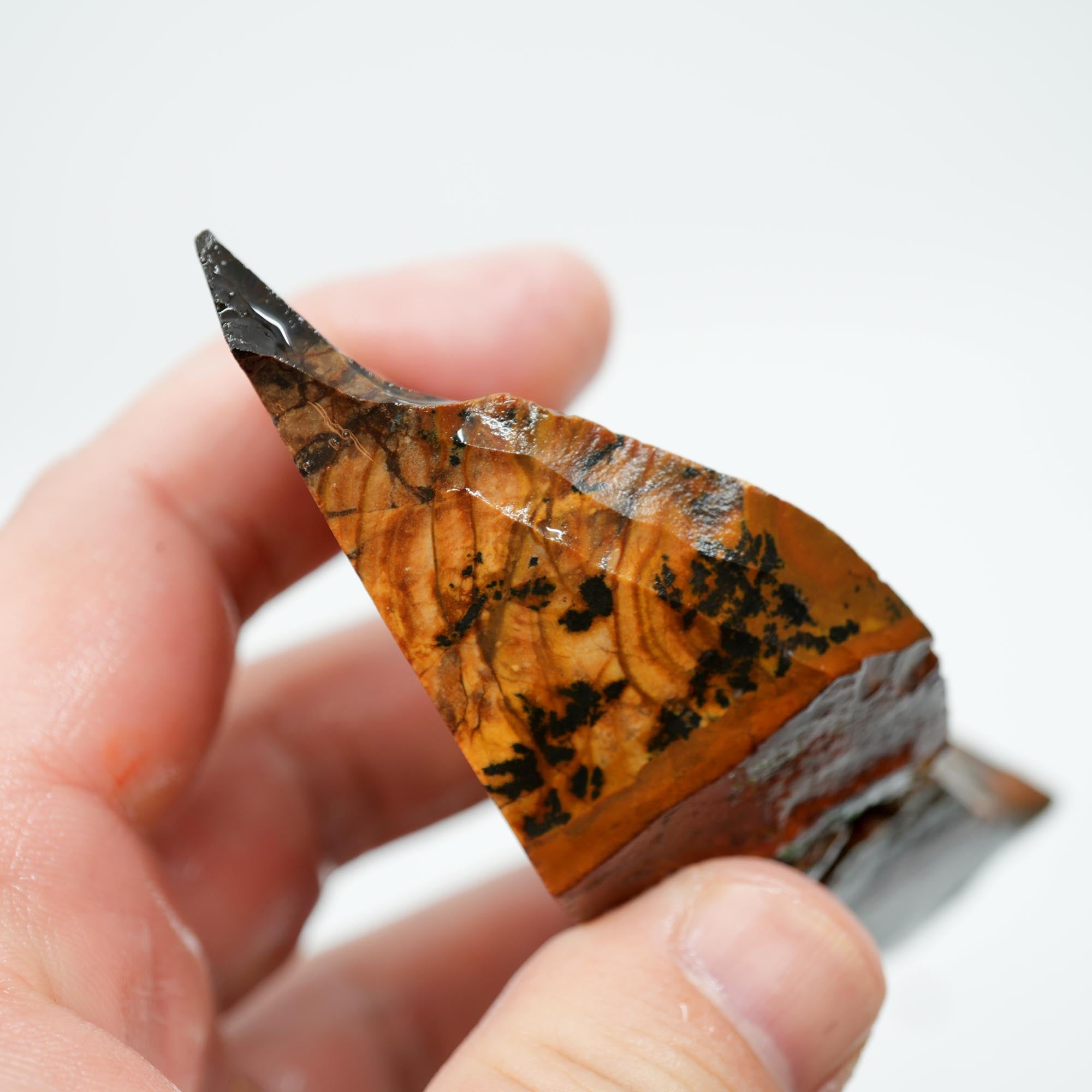 Biggs Blue Picture Jasper Endcut - Rolling Hills with Dendrites