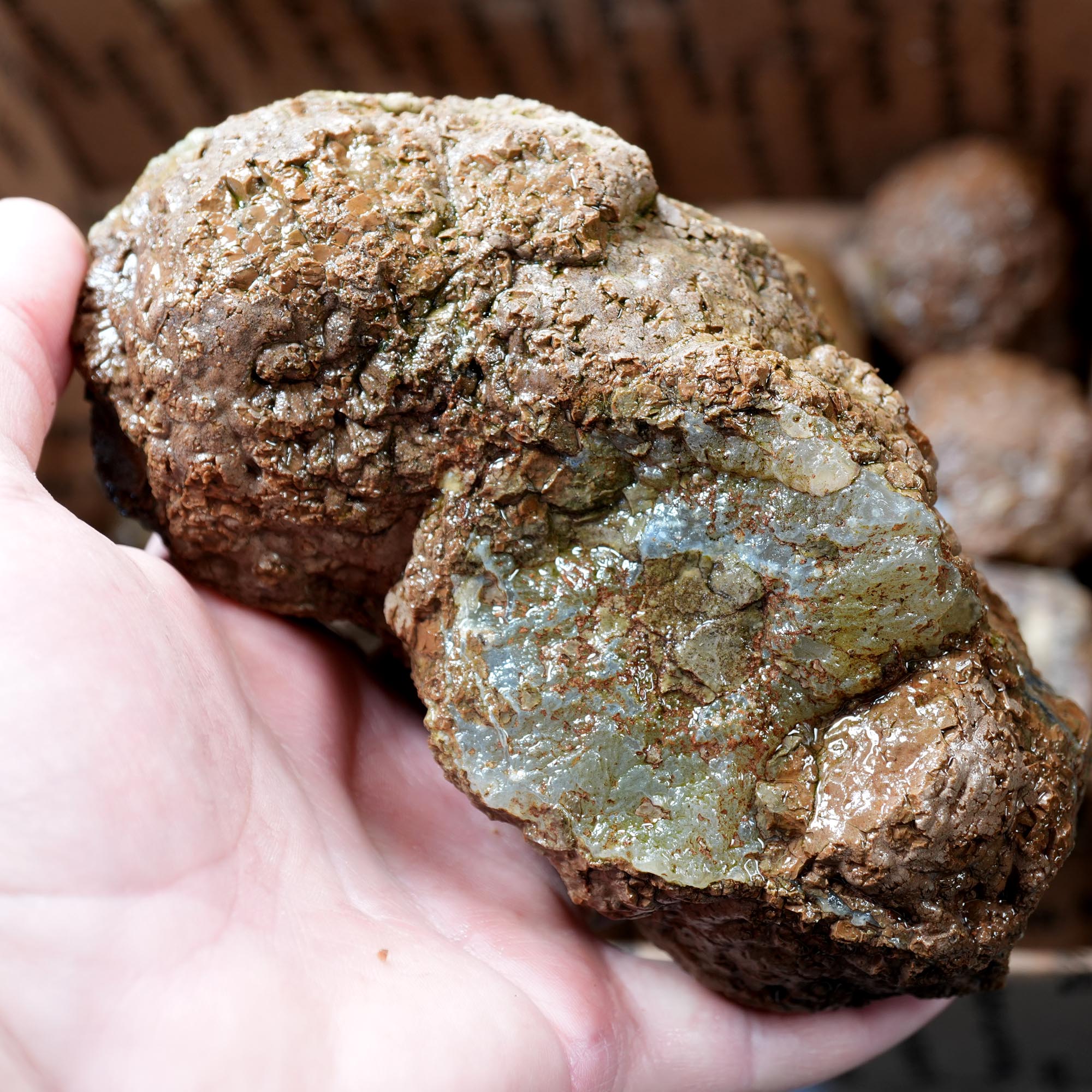 Old Stock Rare Mix Oregon Thunderegg Flatrate
