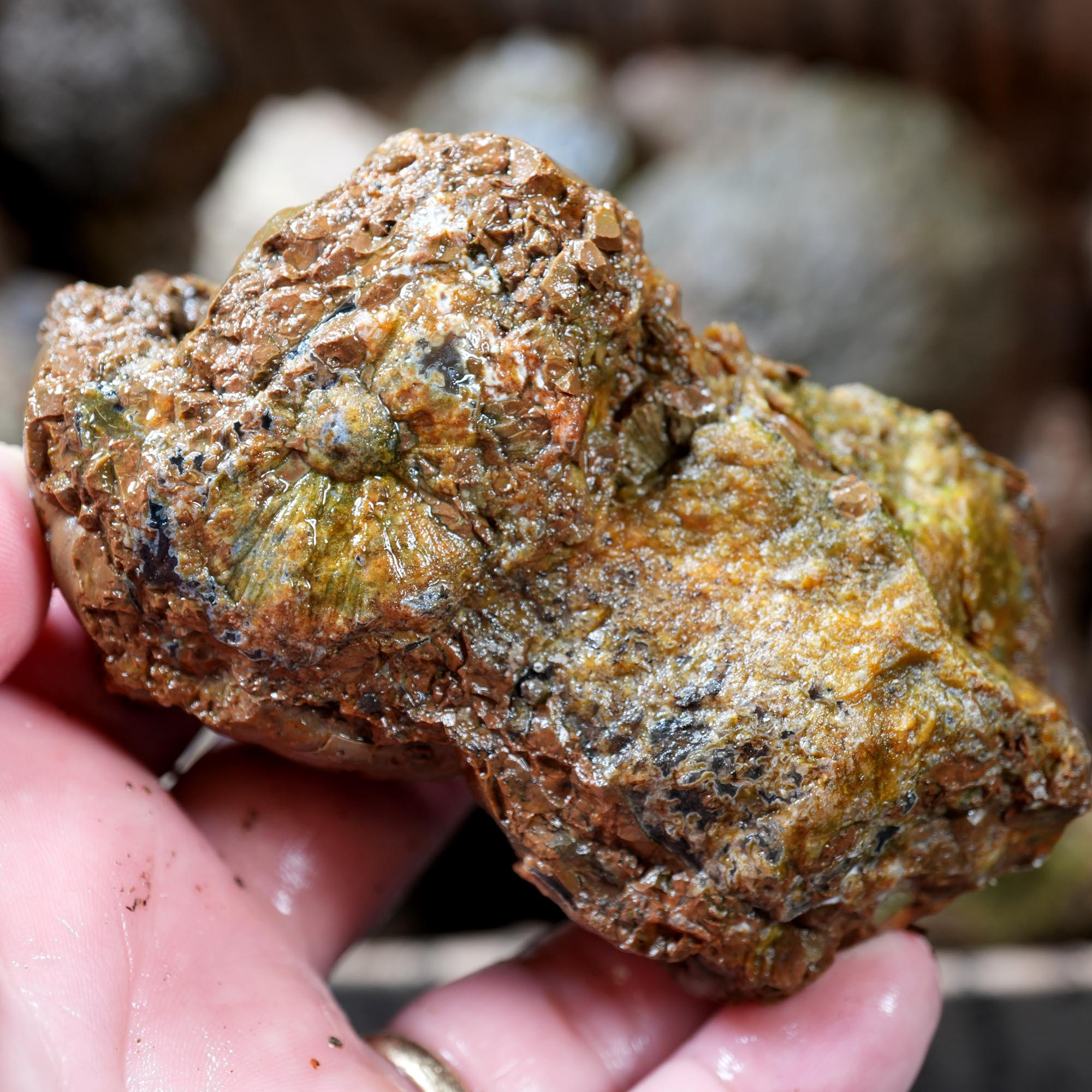 Old Stock Rare Mix Oregon Thunderegg Flatrate