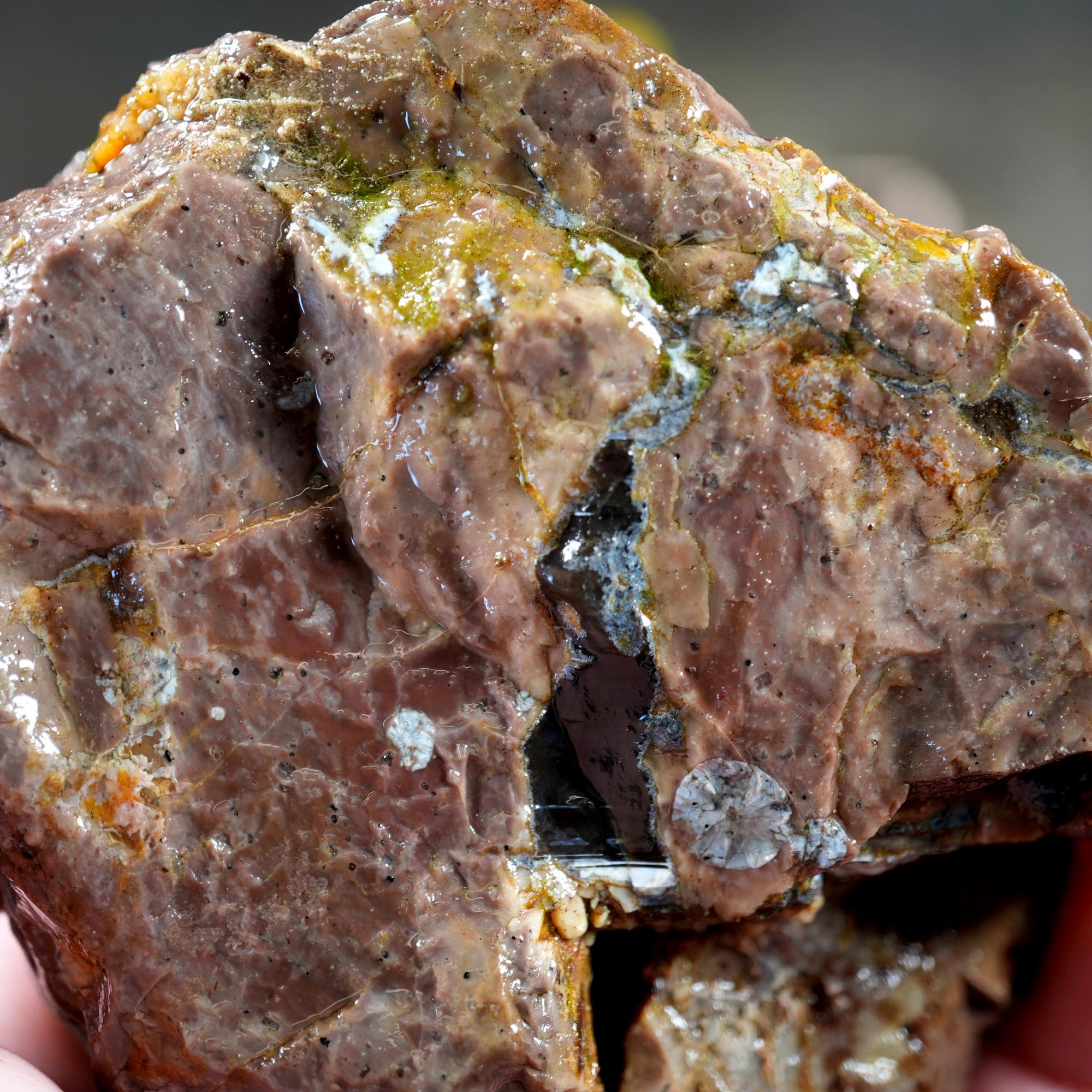 Old Stock Rare Mix Oregon Thunderegg Flatrate