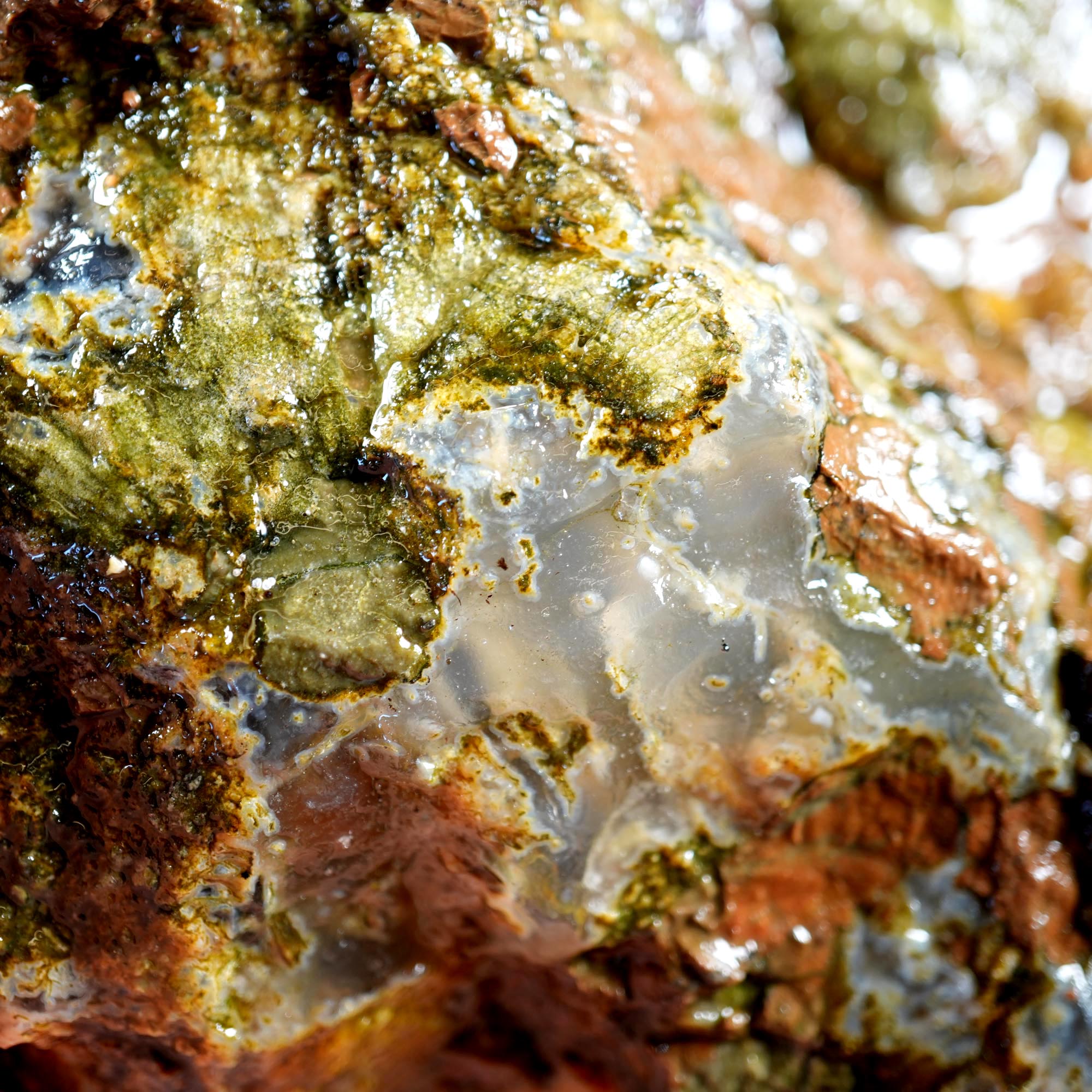 Old Stock Rare Mix Oregon Thunderegg Flatrate