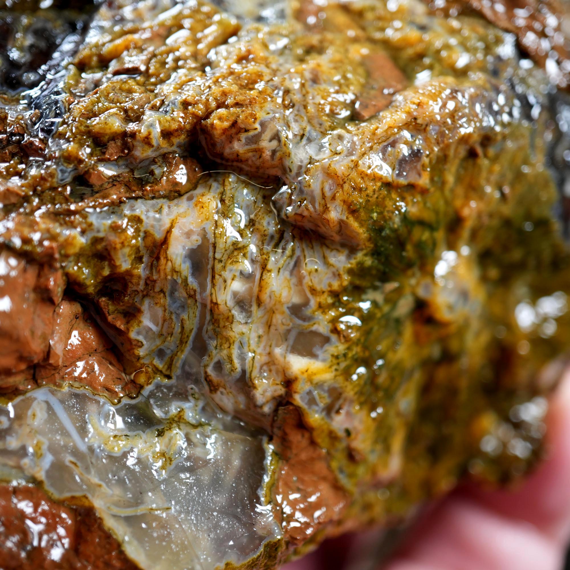 Old Stock Rare Mix Oregon Thunderegg Flatrate