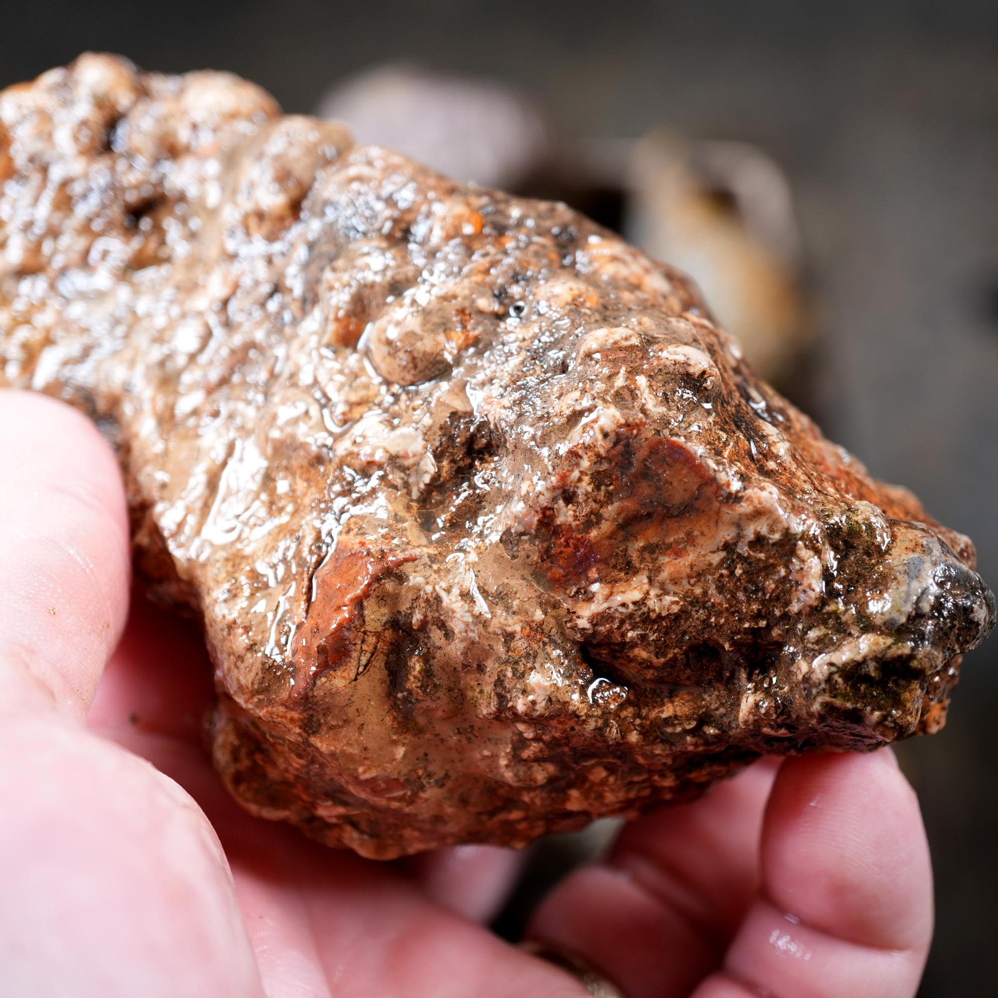 Old Stock Rare Mix Oregon Thunderegg Flatrate