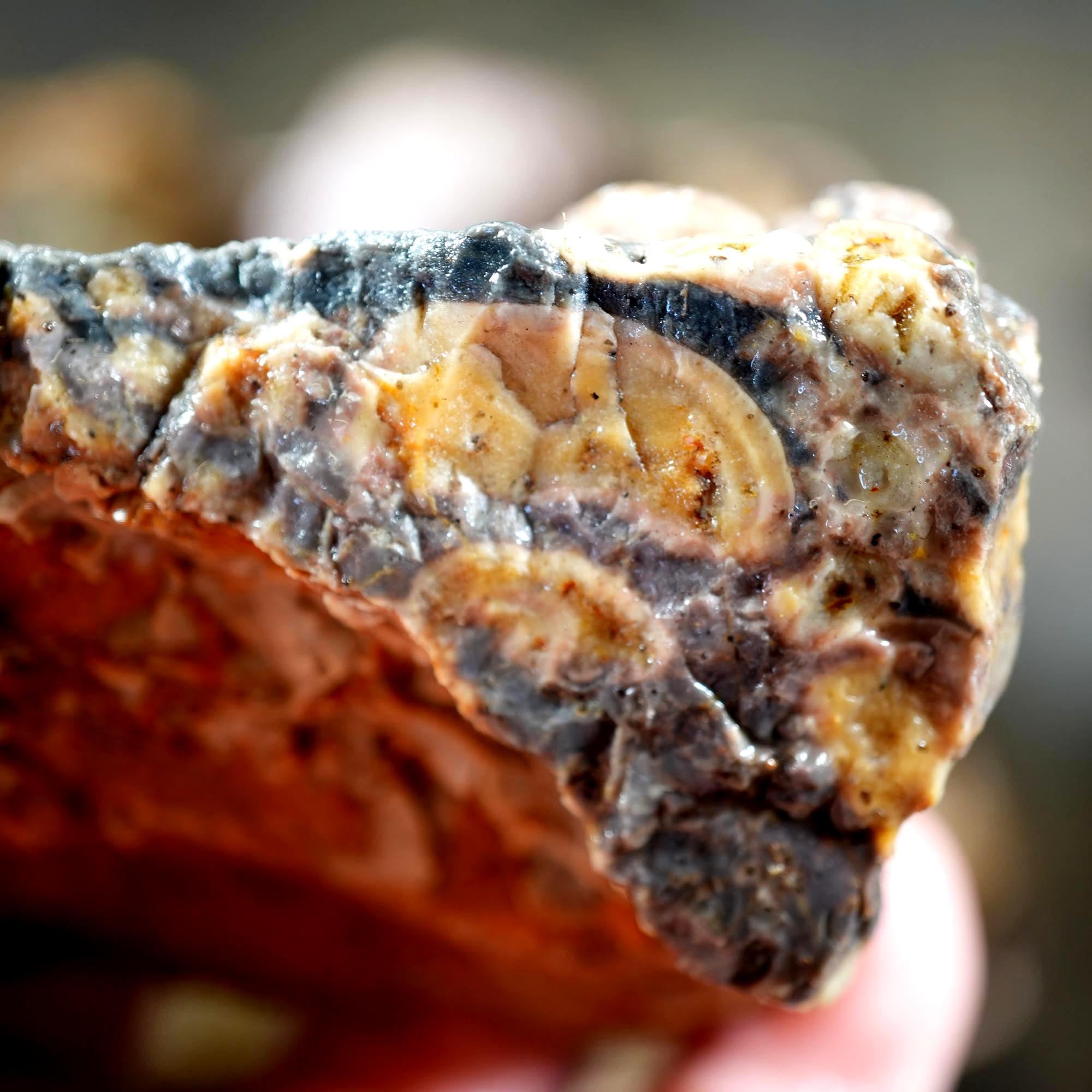 Old Stock Rare Mix Oregon Thunderegg Flatrate