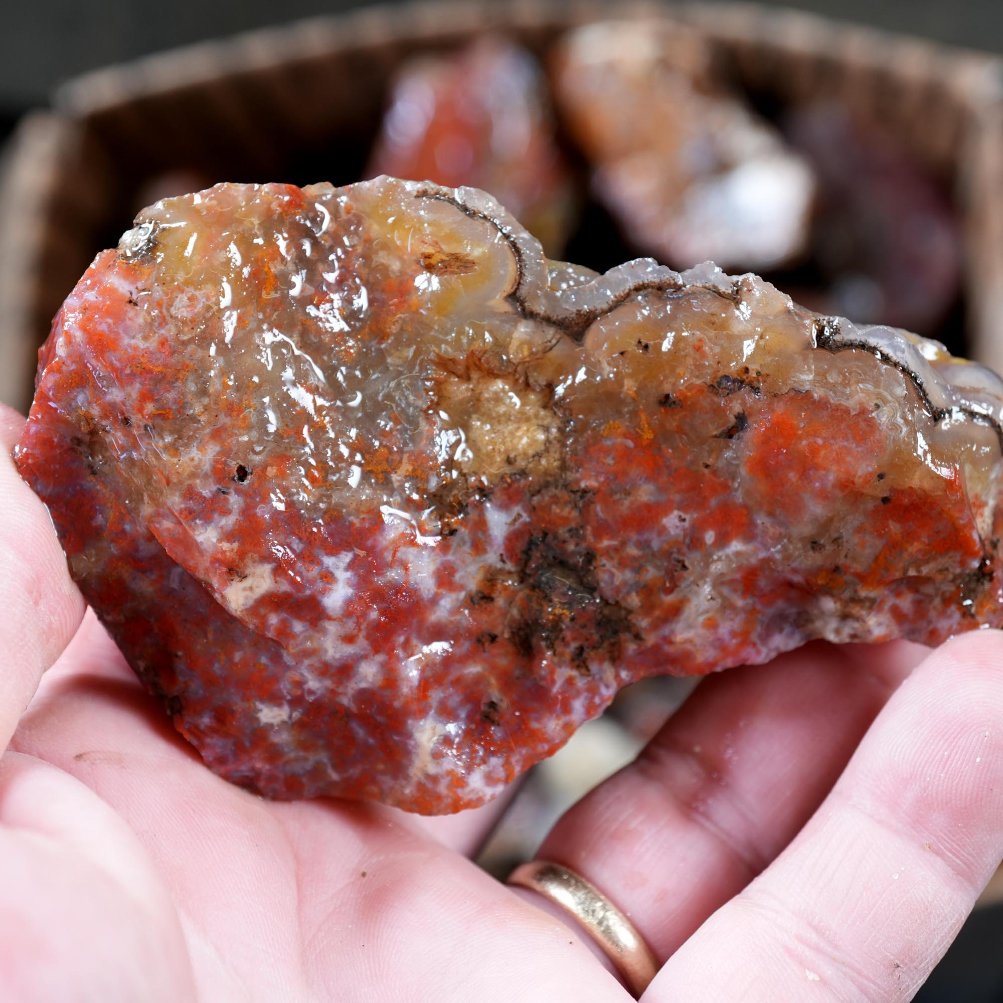 San Carlos Agate Rough Flatrate - 24 lb Mixed Cutter Box