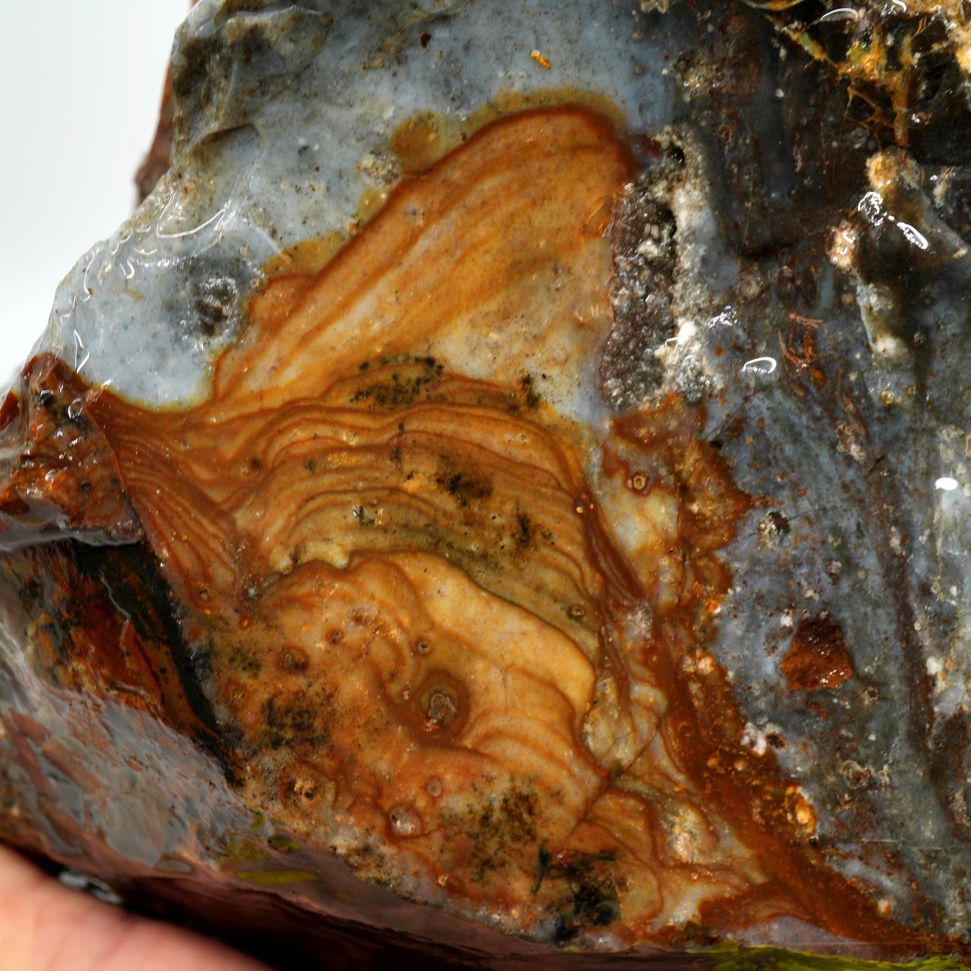 Paiute Jasper Rough - Old Stock Rolling Hills