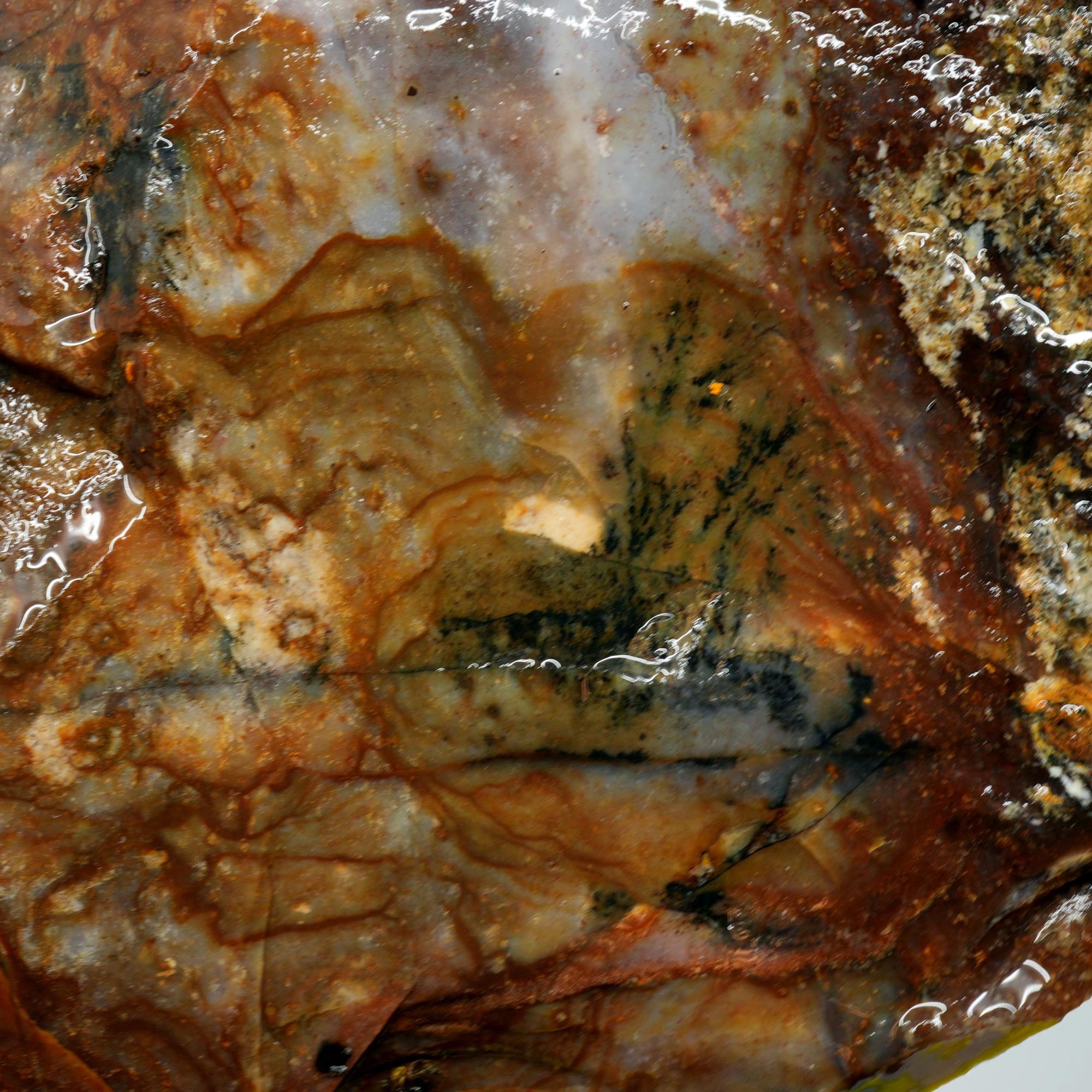 Paiute Jasper Rough - Old Stock Rolling Hills